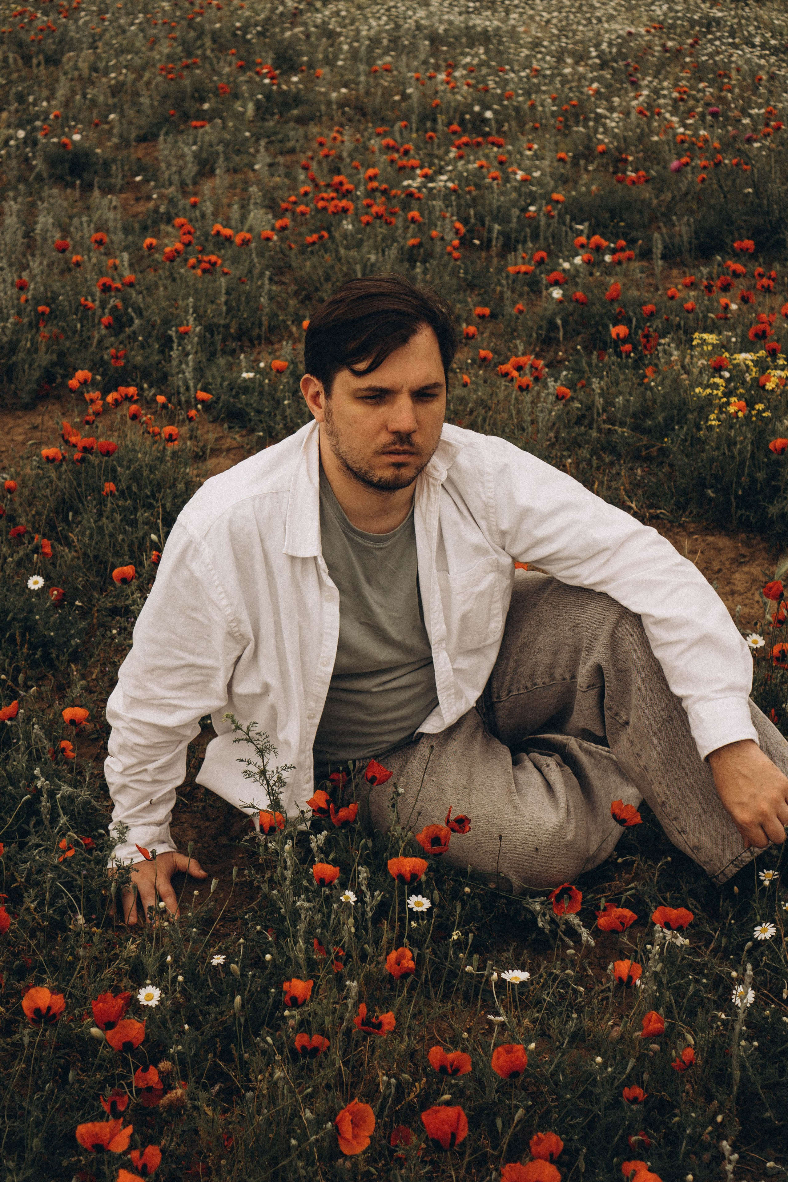 Маки. Профессиональный фотограф, Санкт-Петербург — Виктория Богомолова