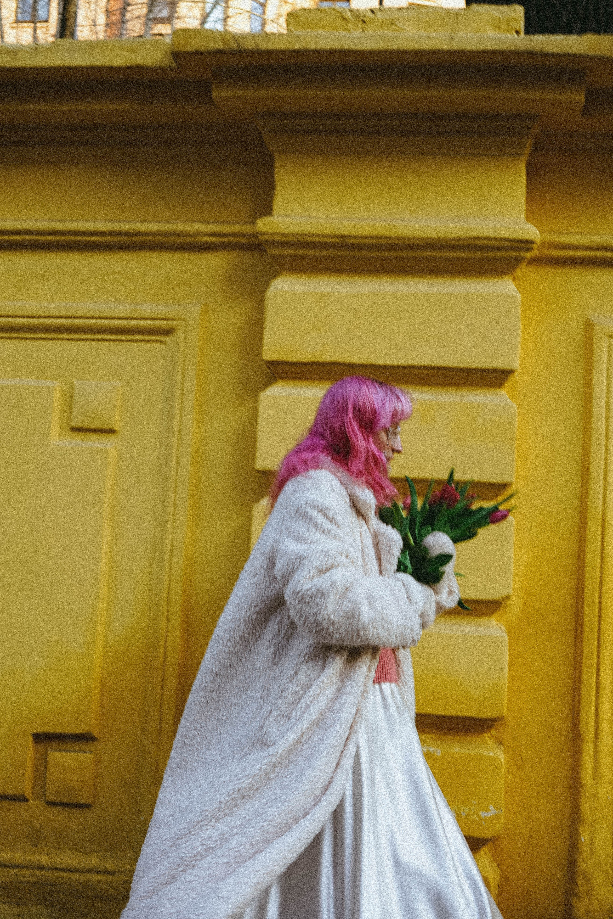 Тюльпаны. Профессиональный фотограф, Санкт-Петербург — Виктория Богомолова