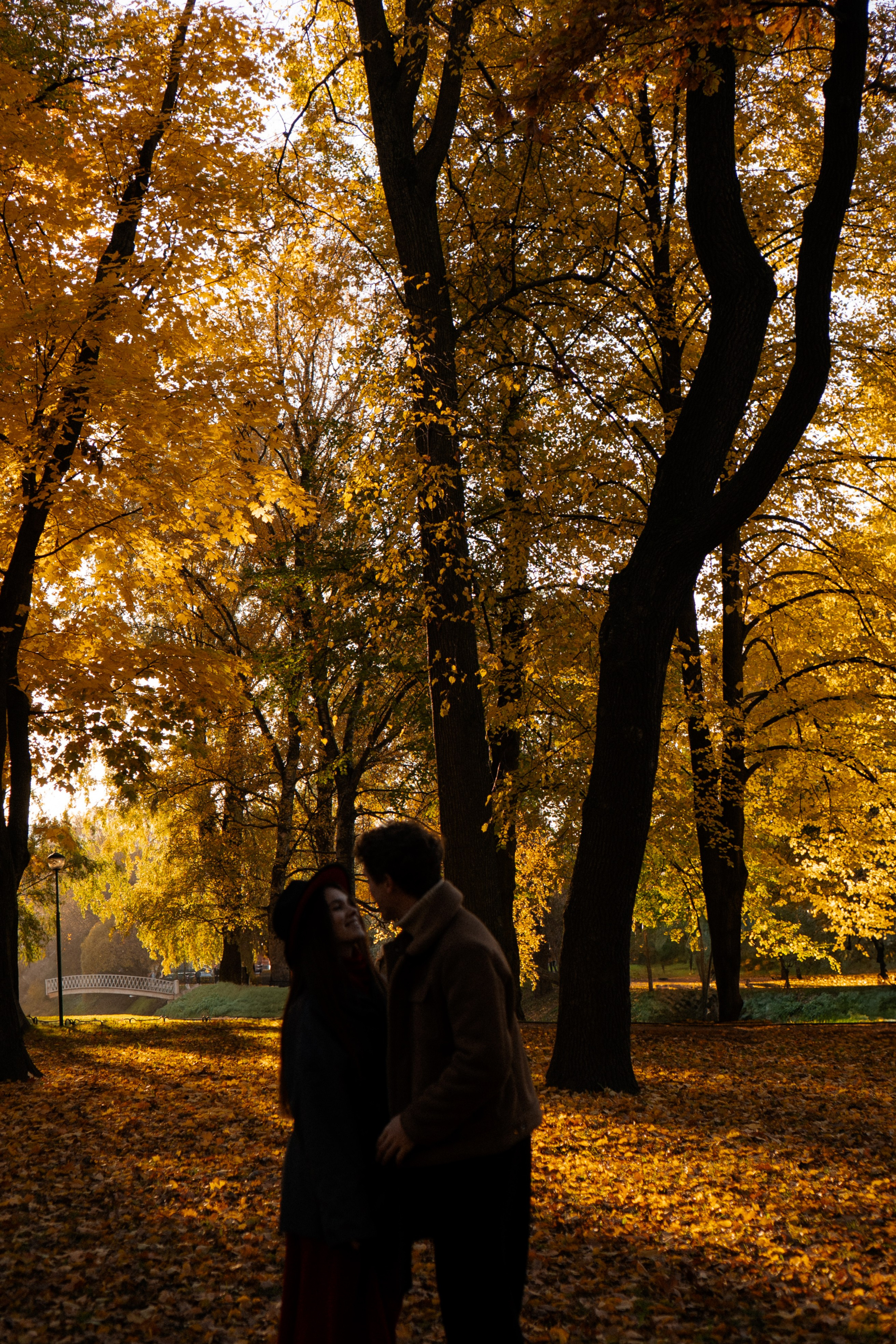 ОСЕННЯЯ ПРОГУЛКА. Профессиональный фотограф, Санкт-Петербург — Виктория Богомолова