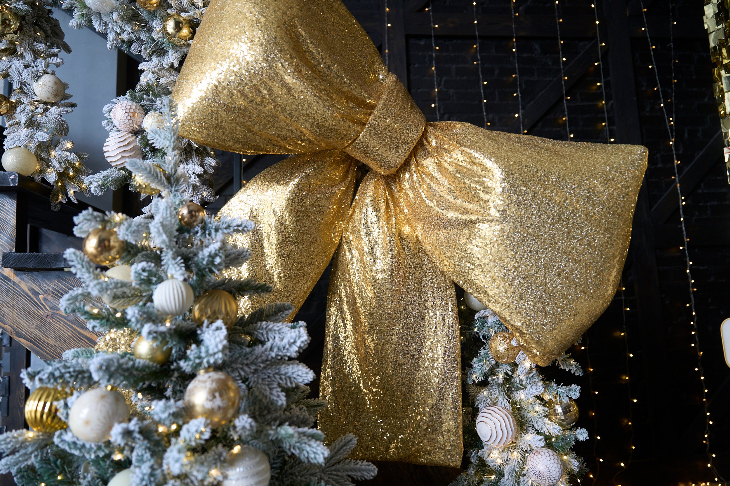 Арт (Art). Фотограф г. Хабаровск. Семейные и индивидуальные съёмки