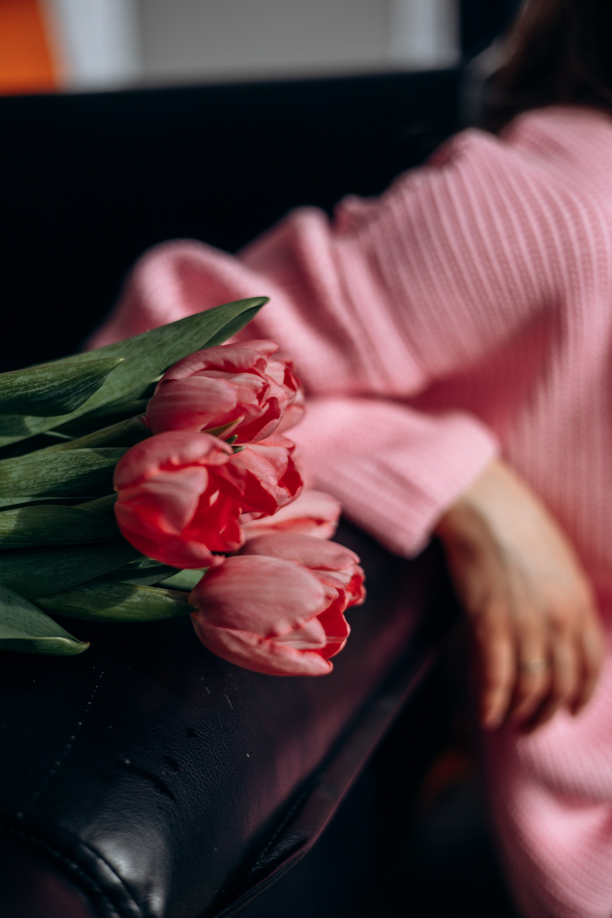 Марина и Чили. Фотограф — Анималист | Санкт-Петербург