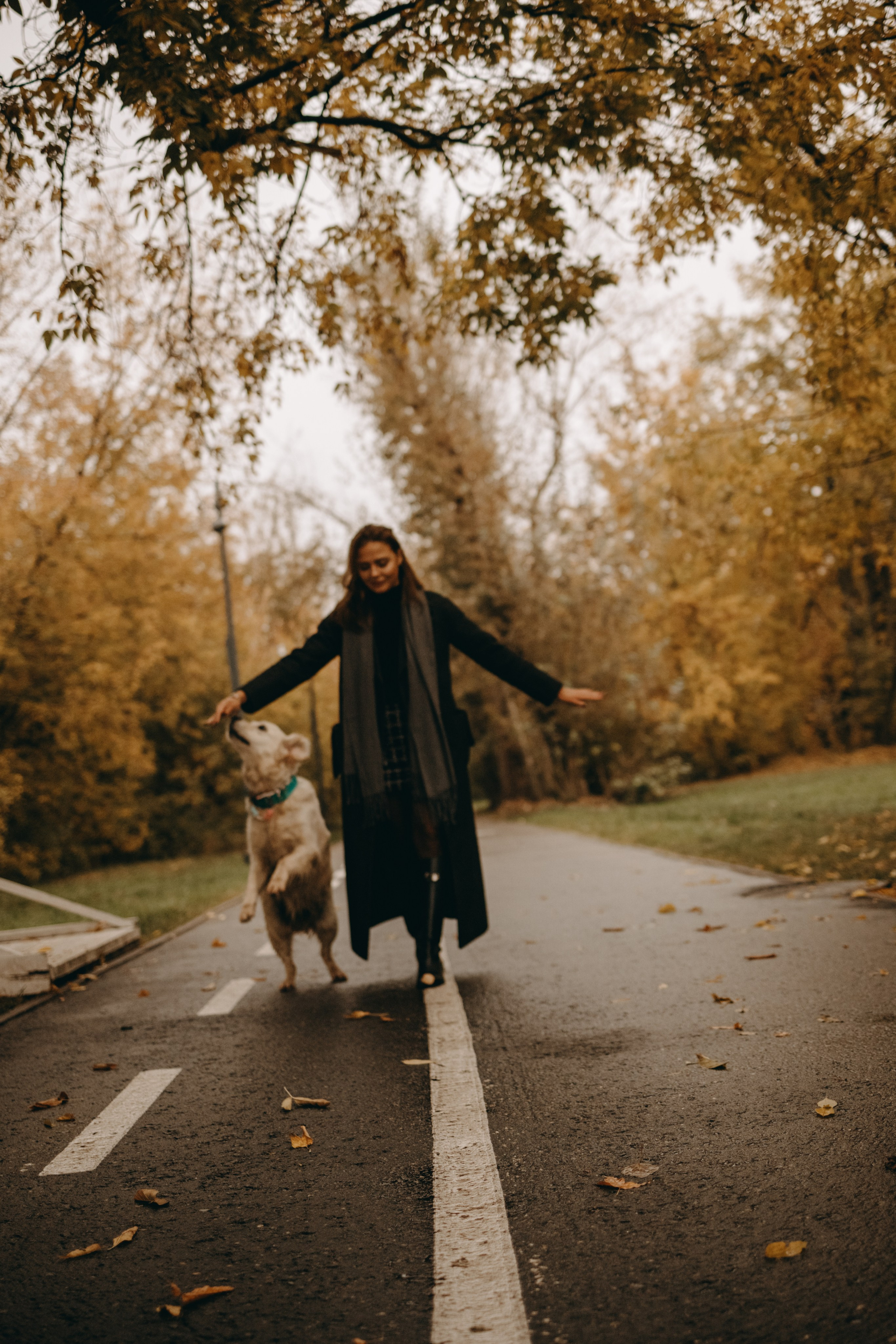 Женя и ее девочки. Фотограф — Анималист | Санкт-Петербург