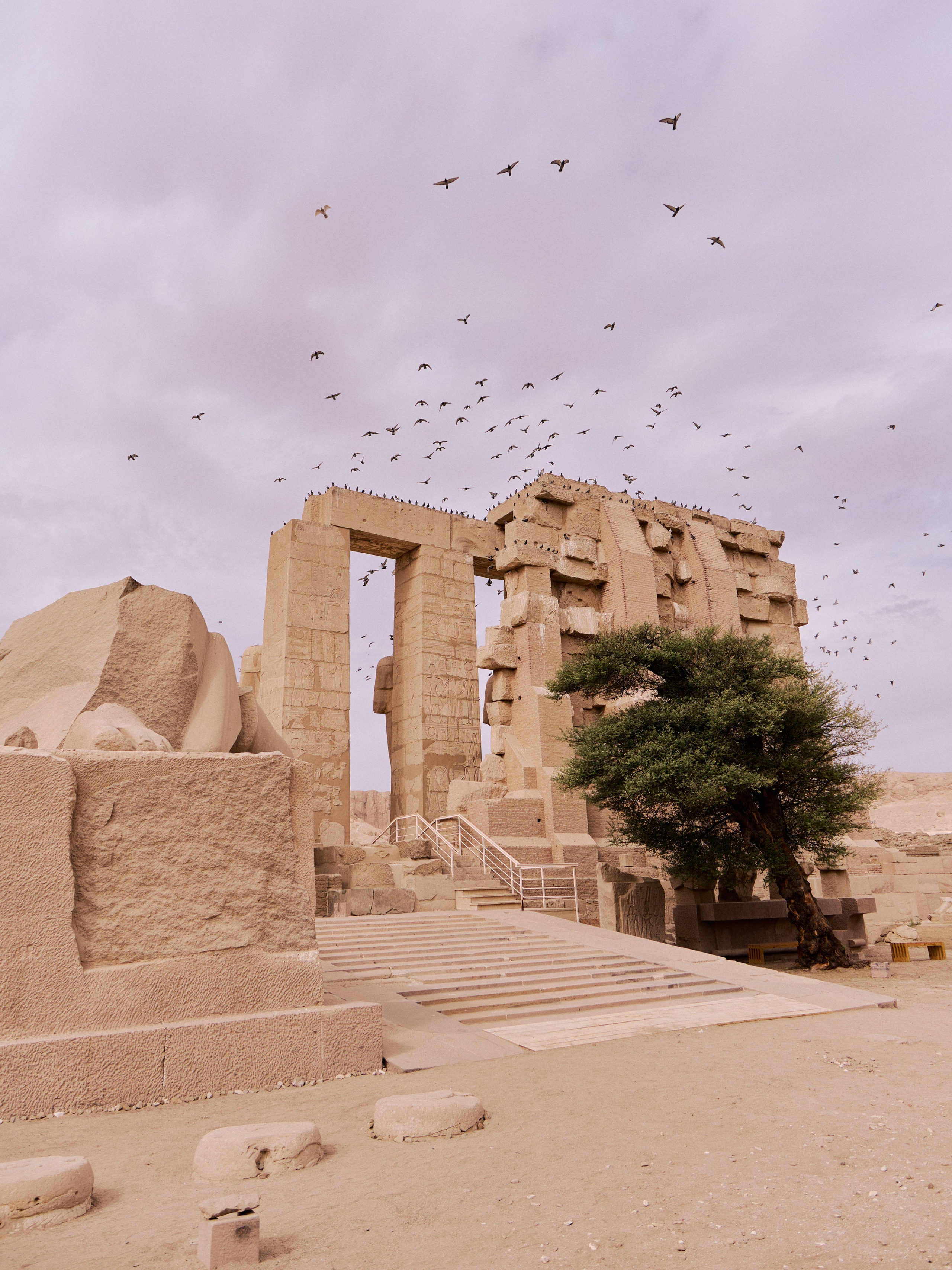 Другое 4. Jorgis — фотограф в Хургаде / обучение фотографии