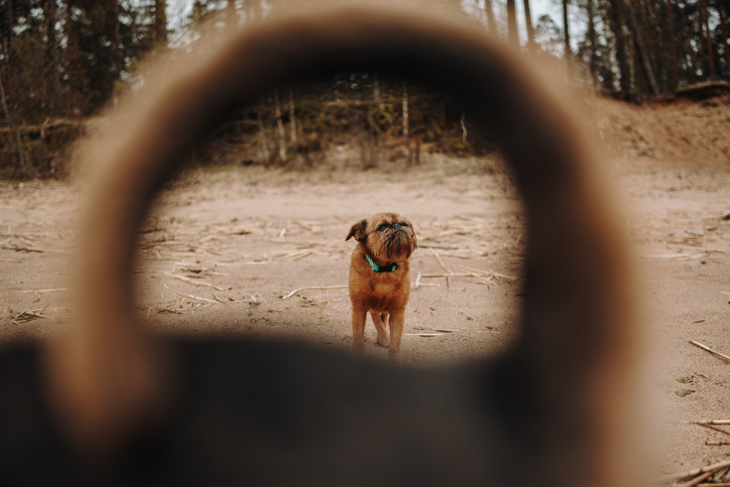 Вера и ее семья. Фотограф — Анималист | Санкт-Петербург