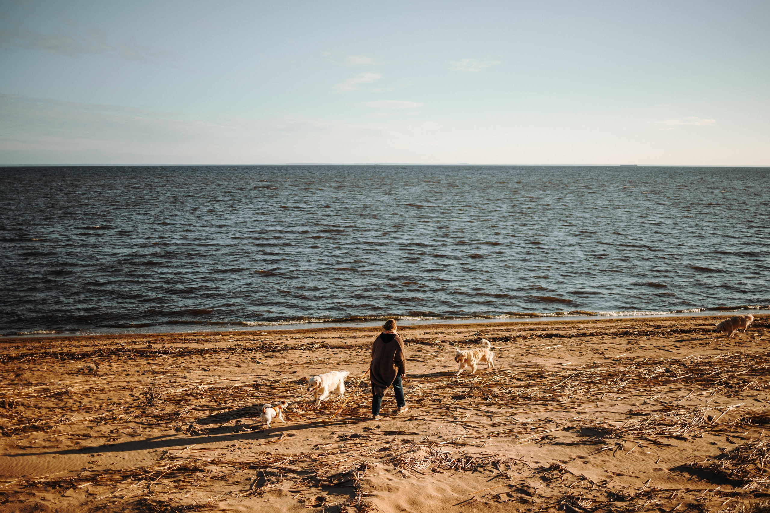 Катя и ее девочки. Фотограф — Анималист | Санкт-Петербург