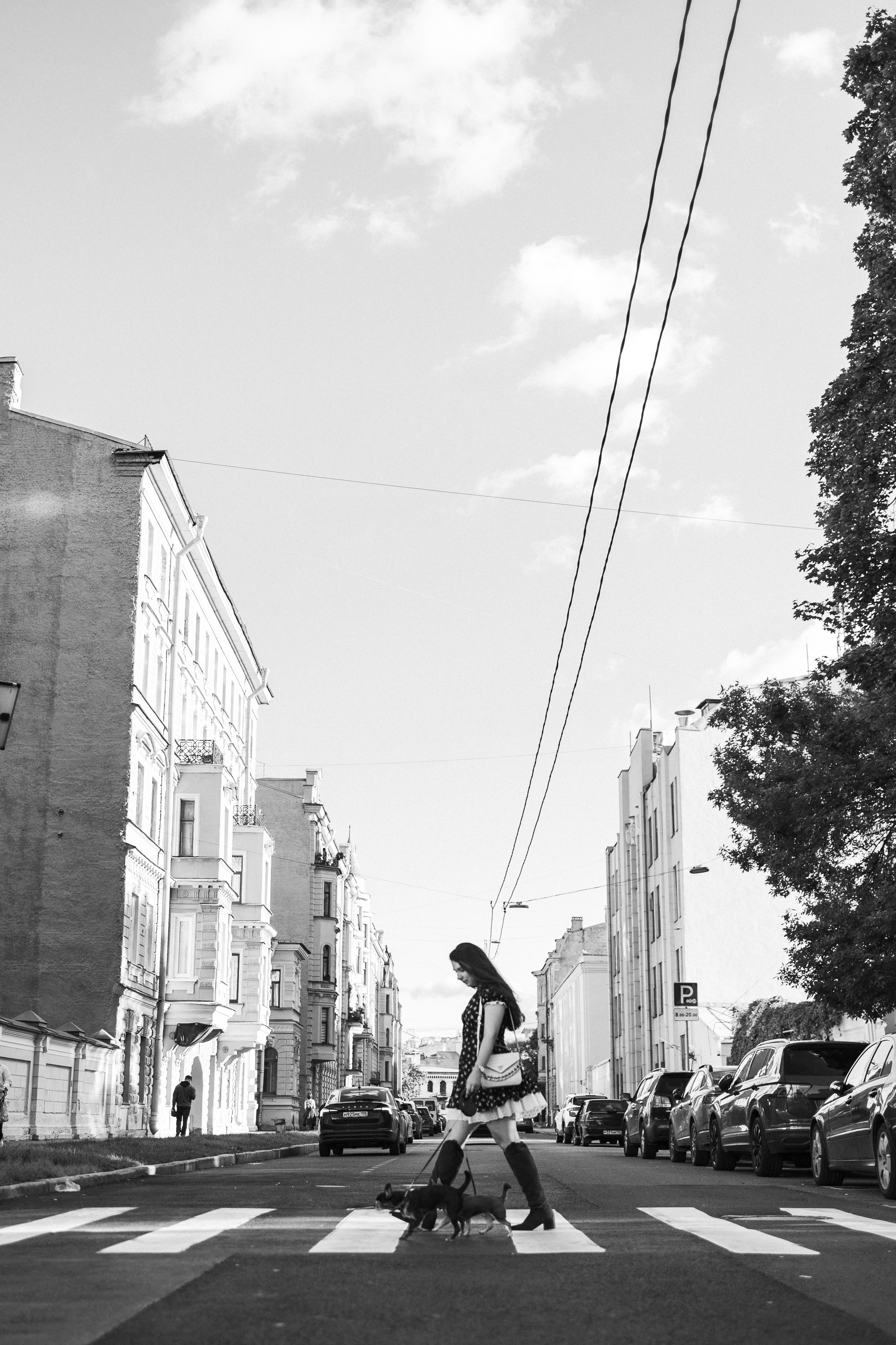 Даша и ее мальчики. Фотограф — Анималист | Санкт-Петербург