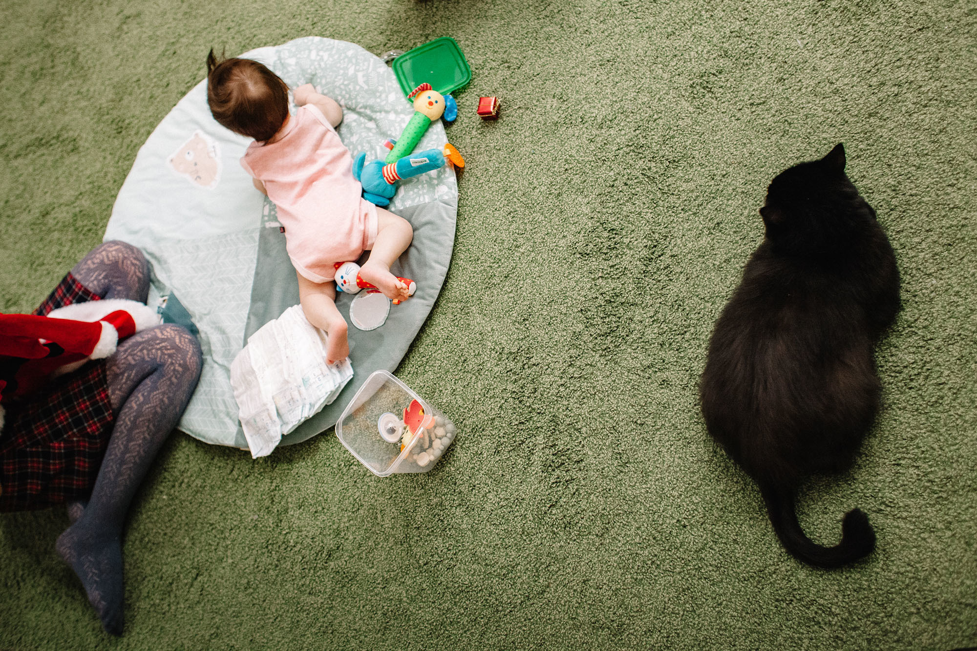 23.12.19_Новогодняя. Семейный и свадебный фотограф в Майкопе Михаил Мартиросян