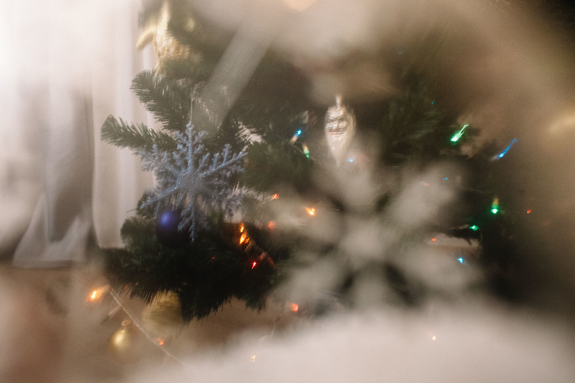 23.12.19_Новогодняя. Семейный и свадебный фотограф в Майкопе Михаил Мартиросян