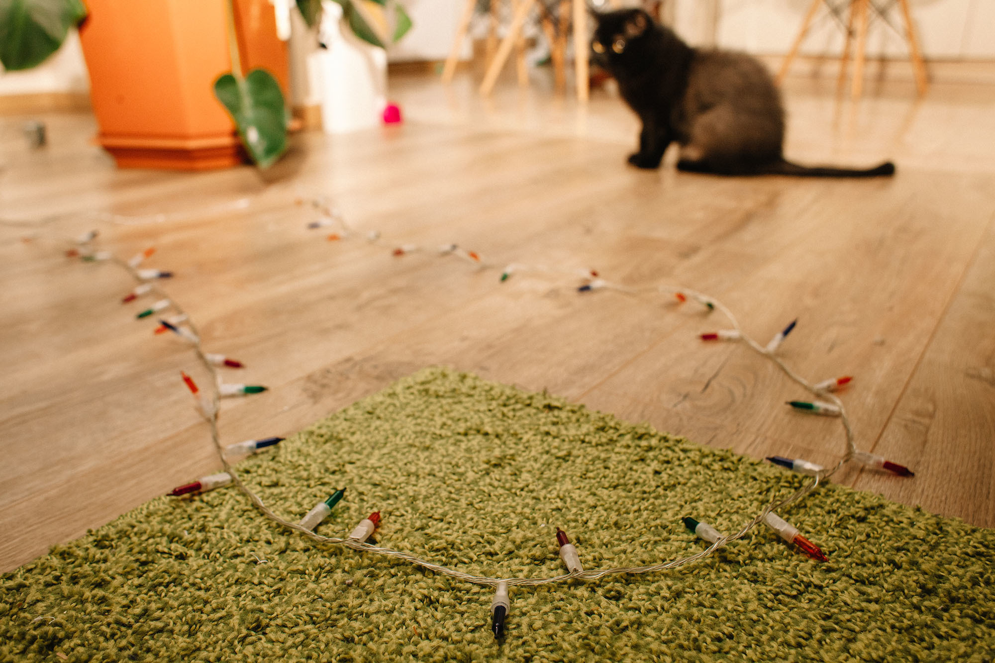 23.12.19_Новогодняя. Семейный и свадебный фотограф в Майкопе Михаил Мартиросян