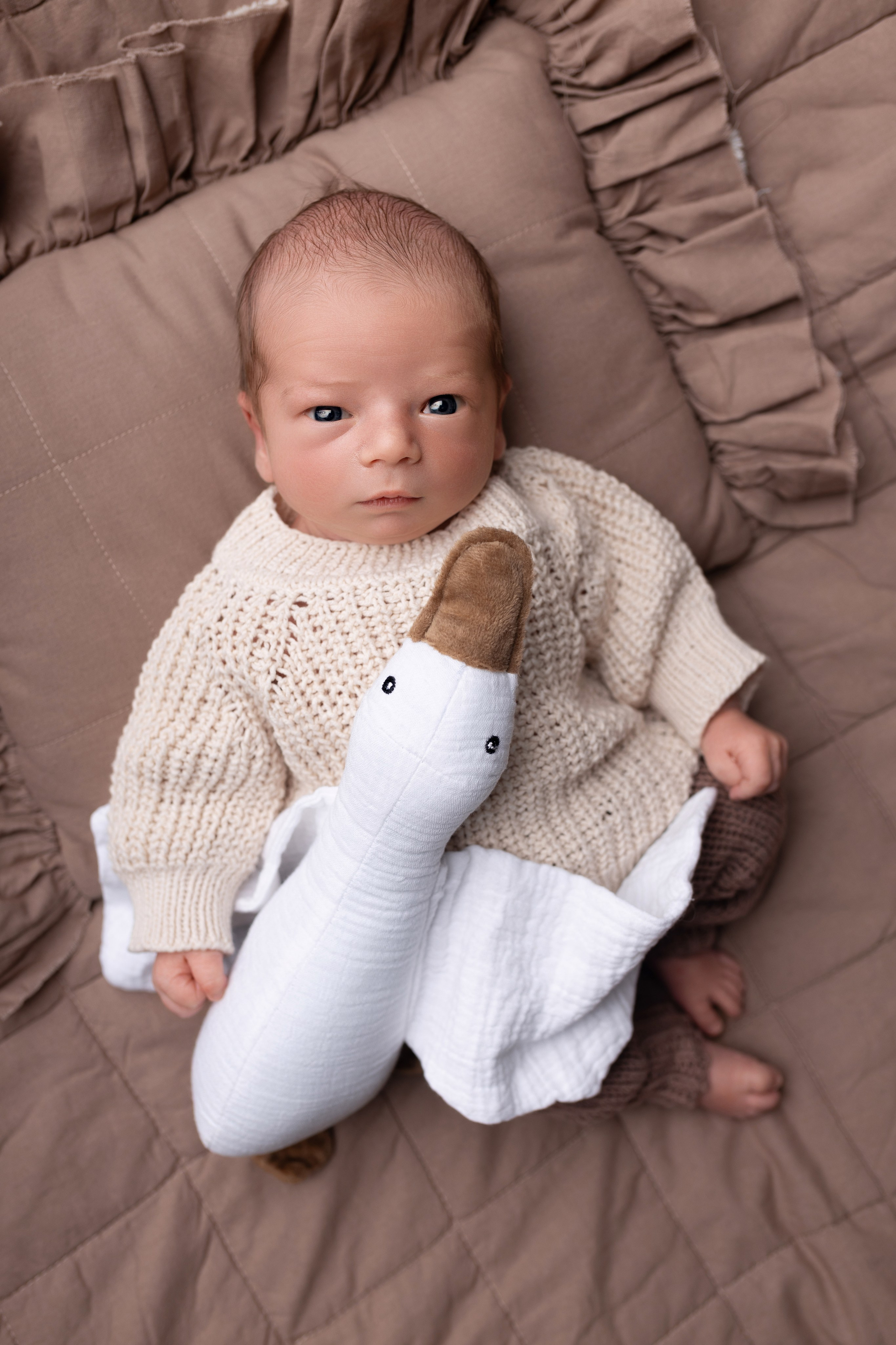 Newborn мальчики. Фотограф новорожденных Модяева Ирина