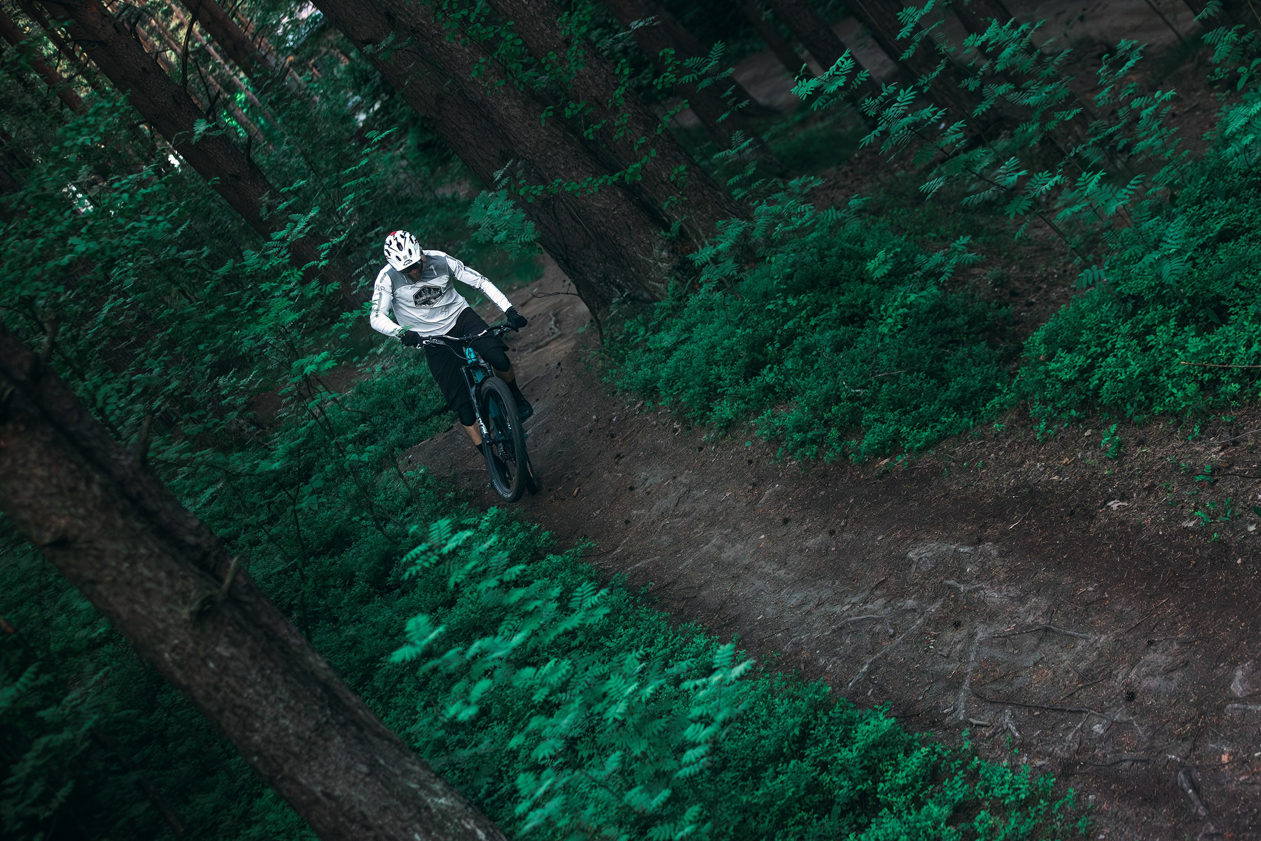 Саша и Ваня. Фотограф анималист Никита Натальный