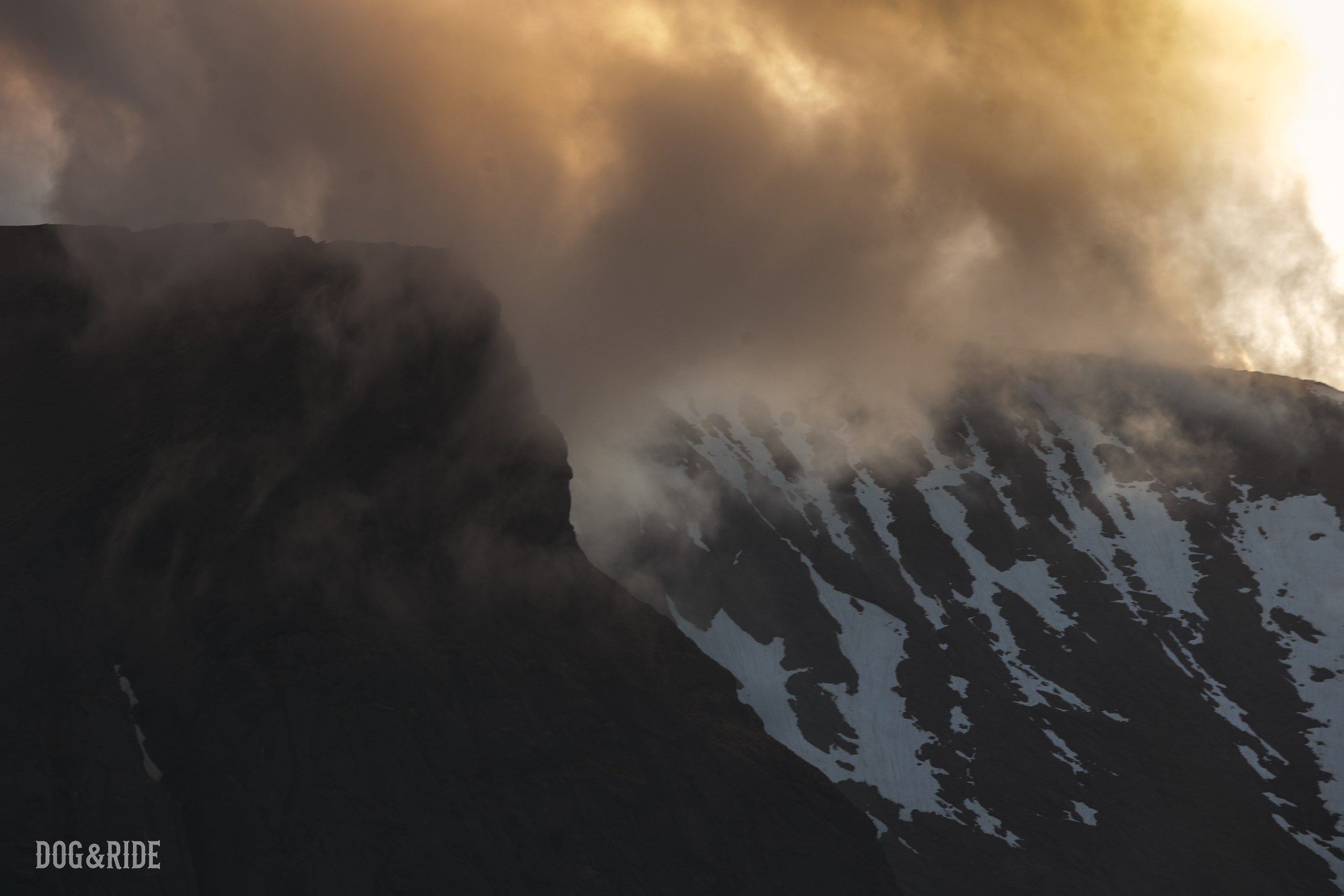 Хибины. Фотограф анималист Никита Натальный