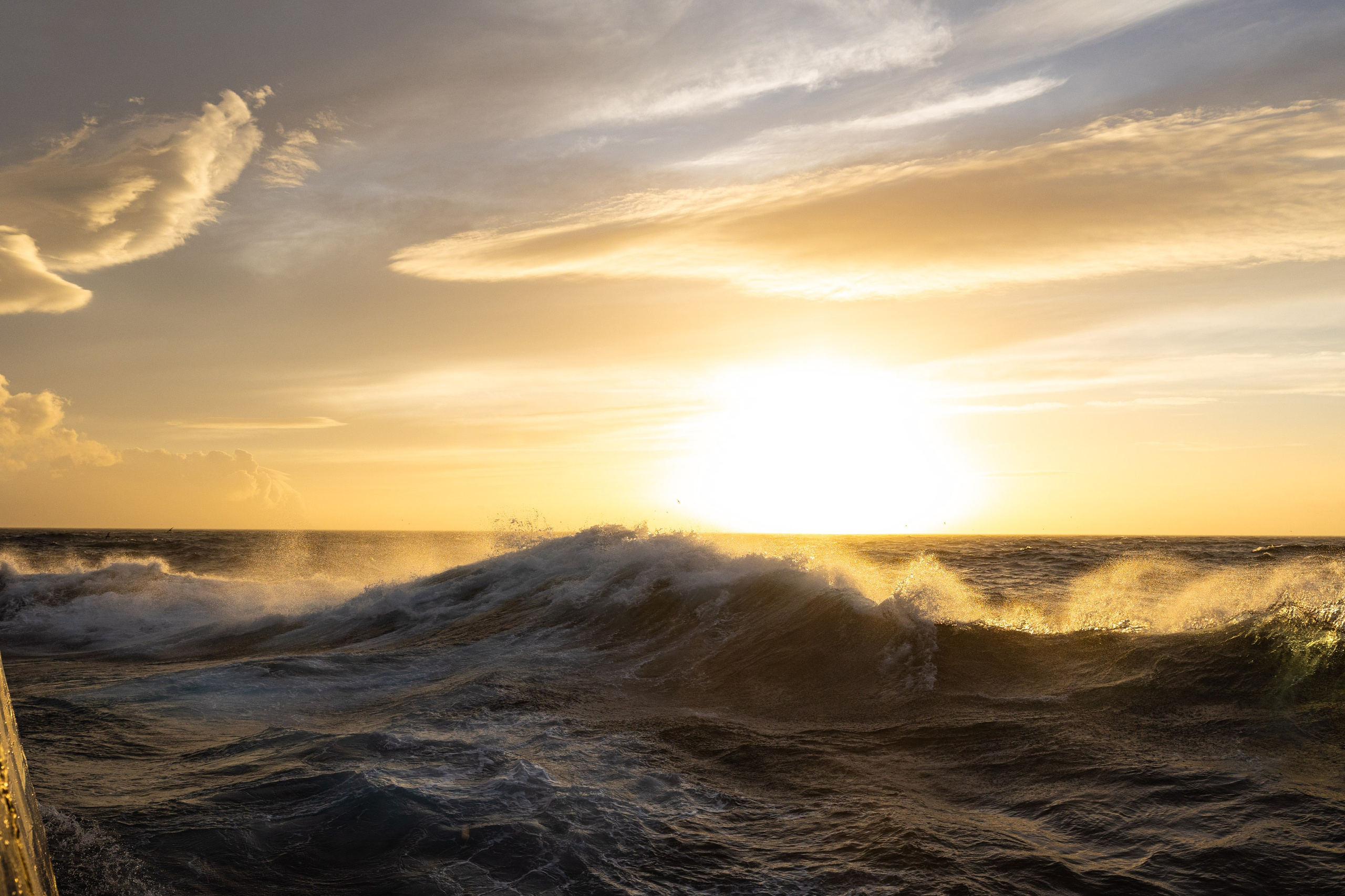 Экспедиция по Северным Курильским островам с Vasta. Фотограф Красная Поляна — Сочи — Москва