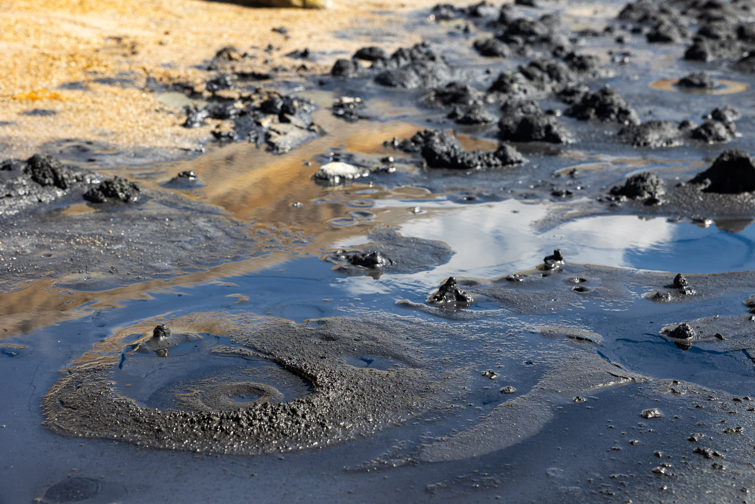 Экспедиция по Северным Курильским островам с Vasta. Фотограф Красная Поляна — Сочи — Москва