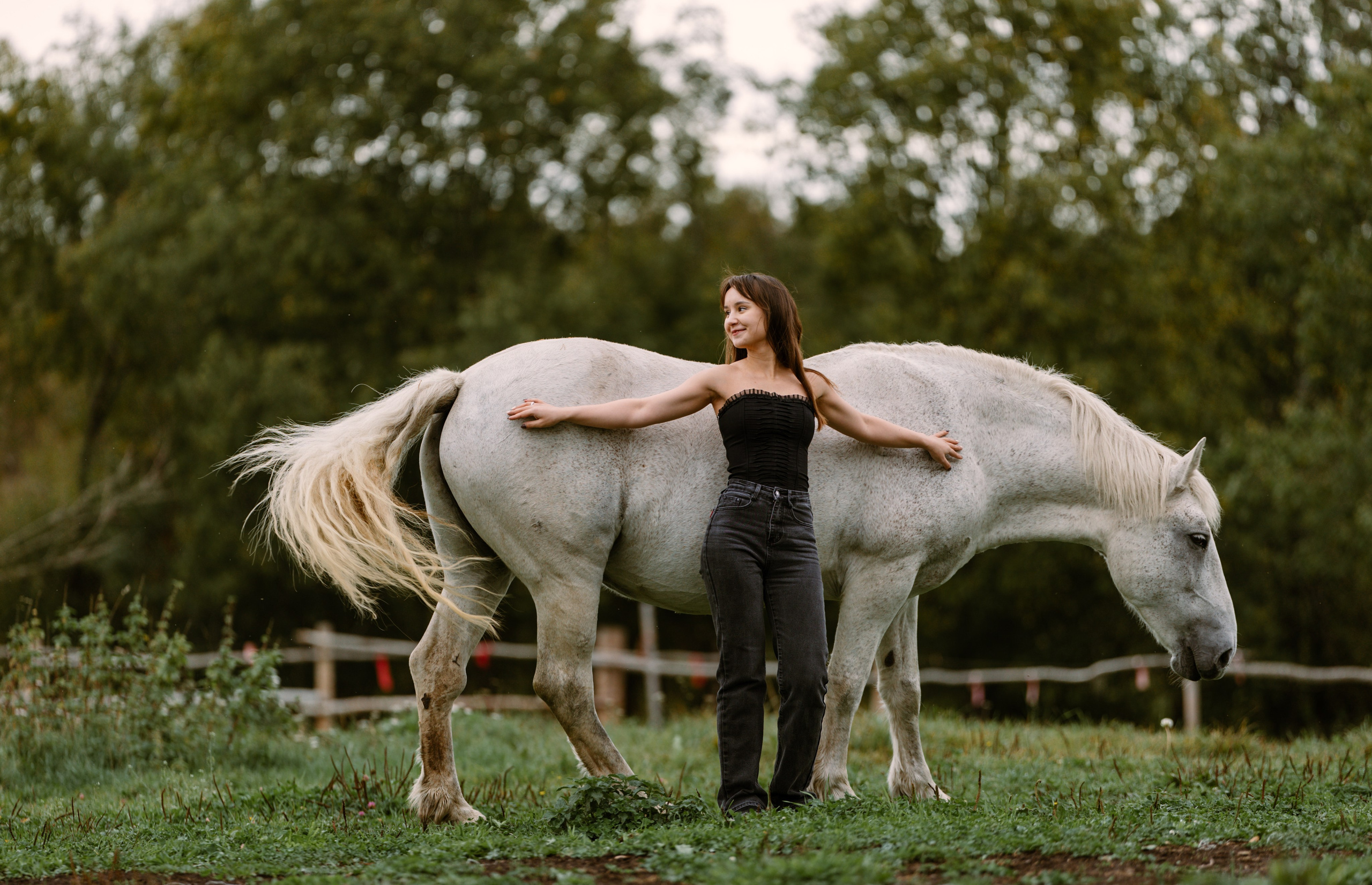 Аренда лошадей для фотосессии в Петрозаводске. Фотограф Варвара Ермоленко