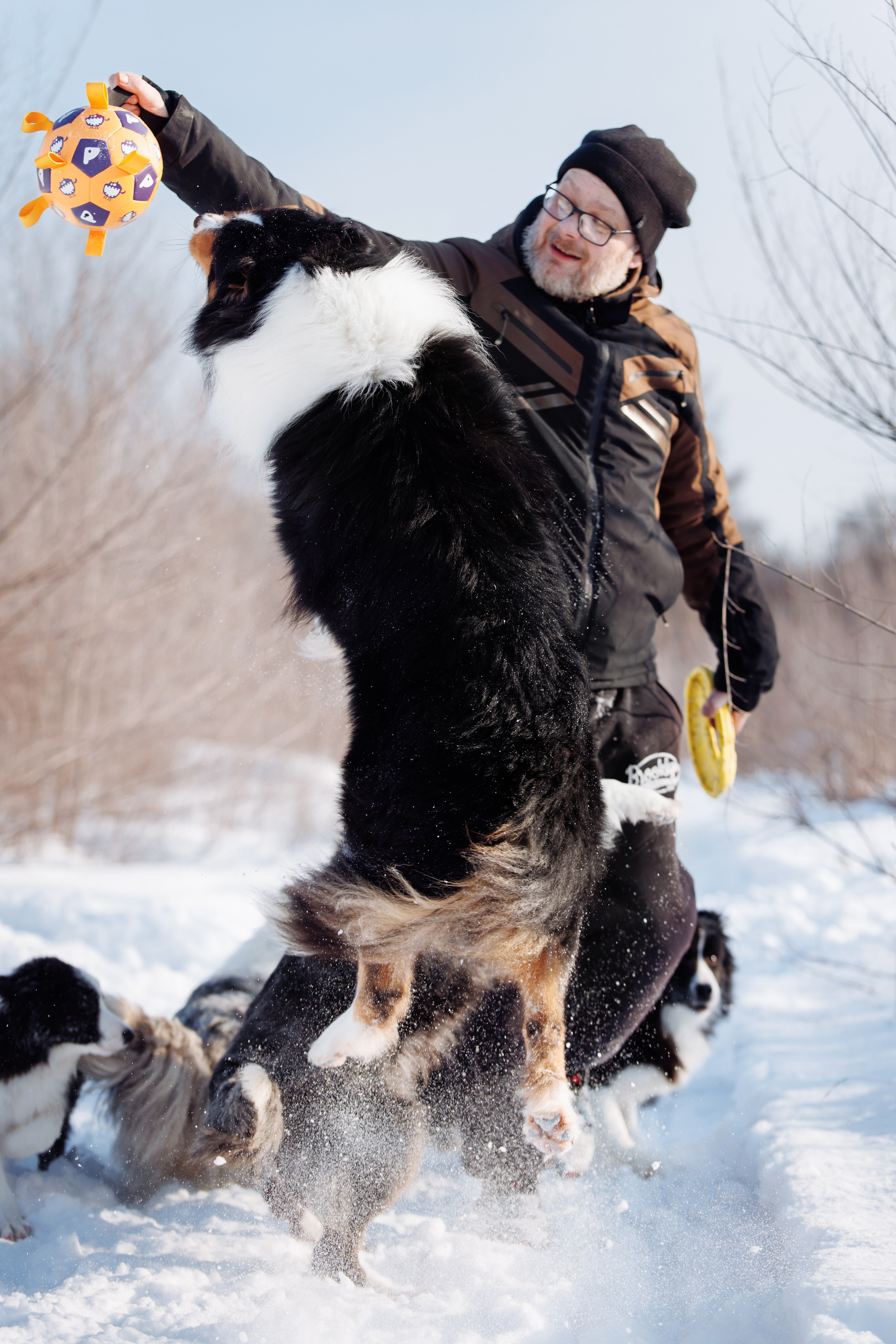 Яркий январь. О нас