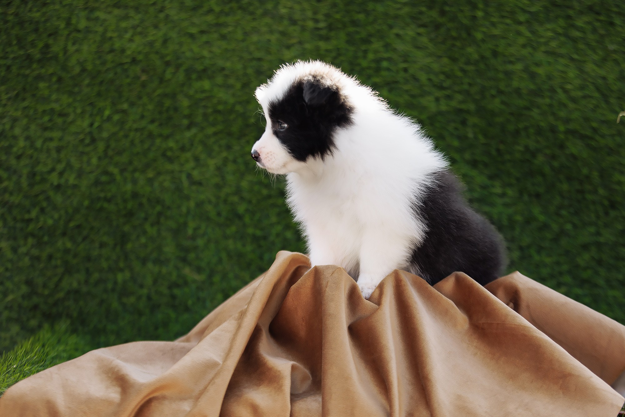 Новый лист. О нас