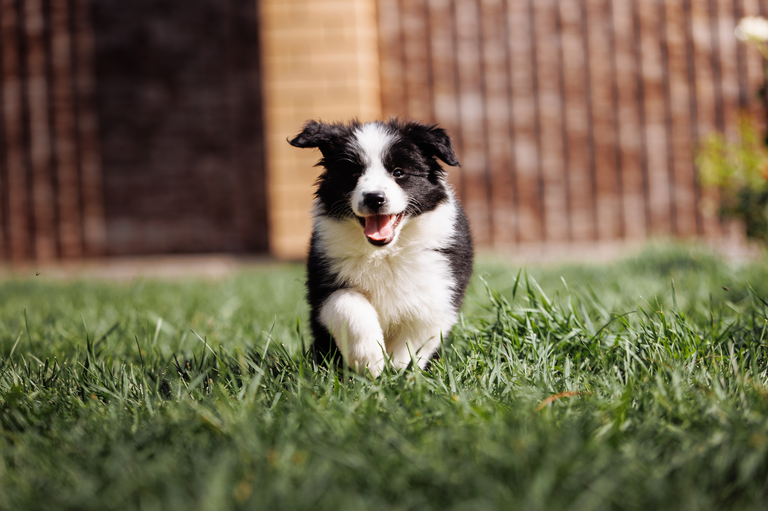 МММ — маленькое мягкое милое. О нас