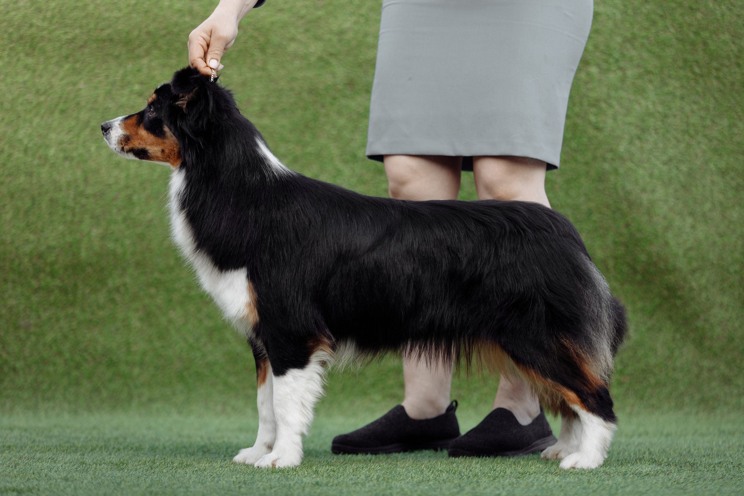 Свое место. О нас