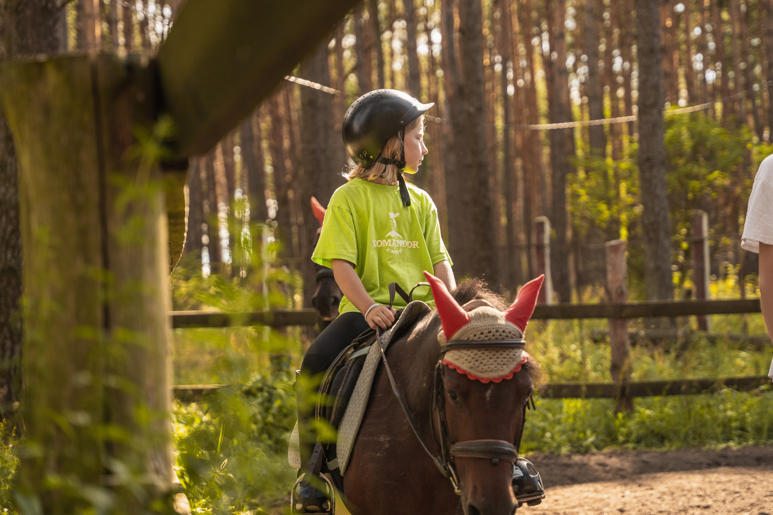 Конное занятие. Главная