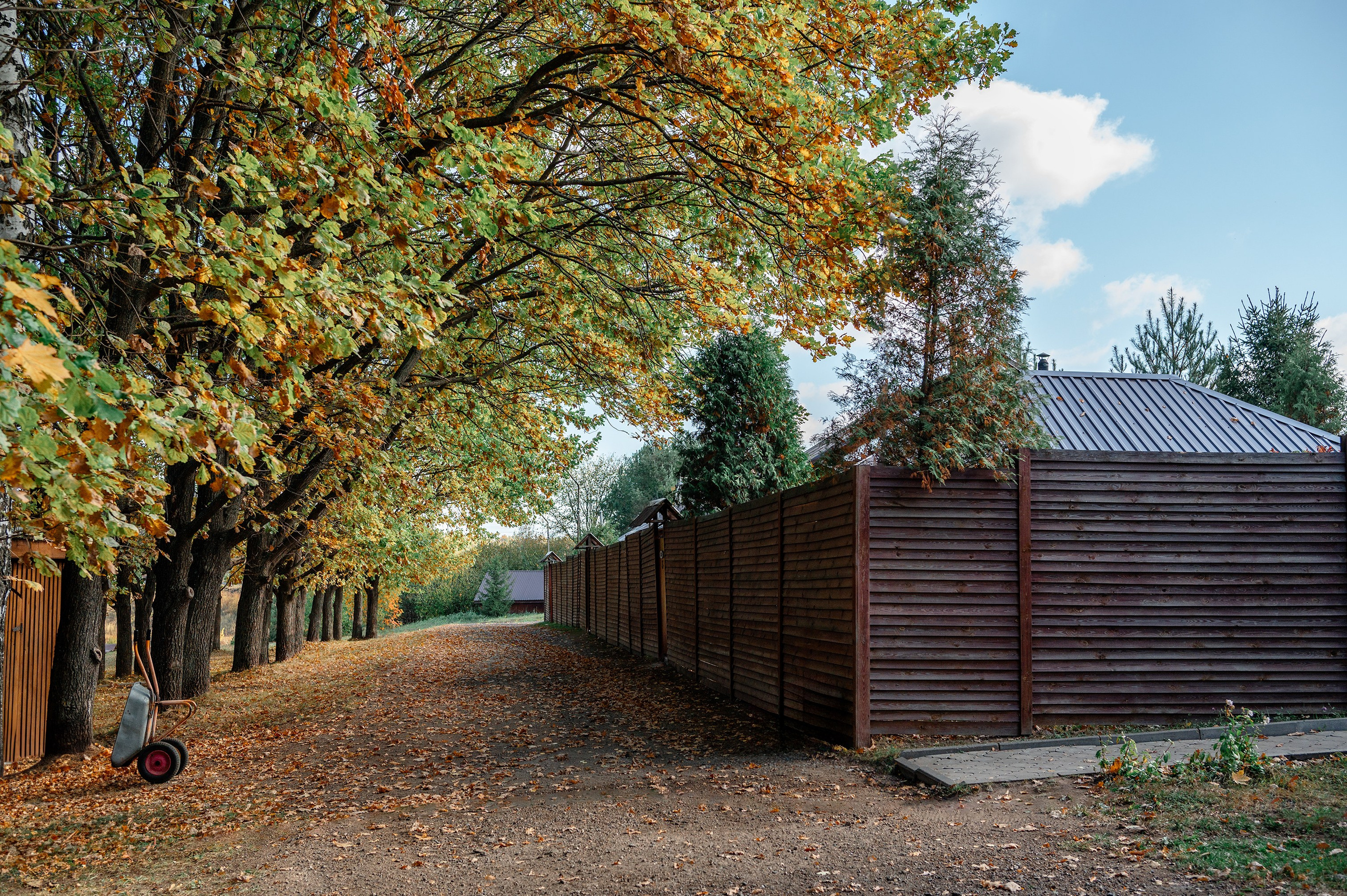 База отдыха «Заимка», Чувашия, сентябрь 2023. Фотограф Александр Золотых