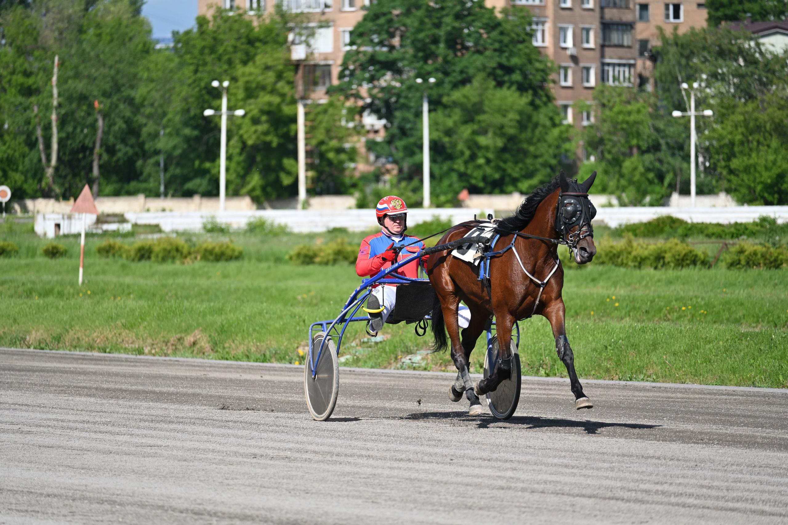 Московский ипподром. Fotolux