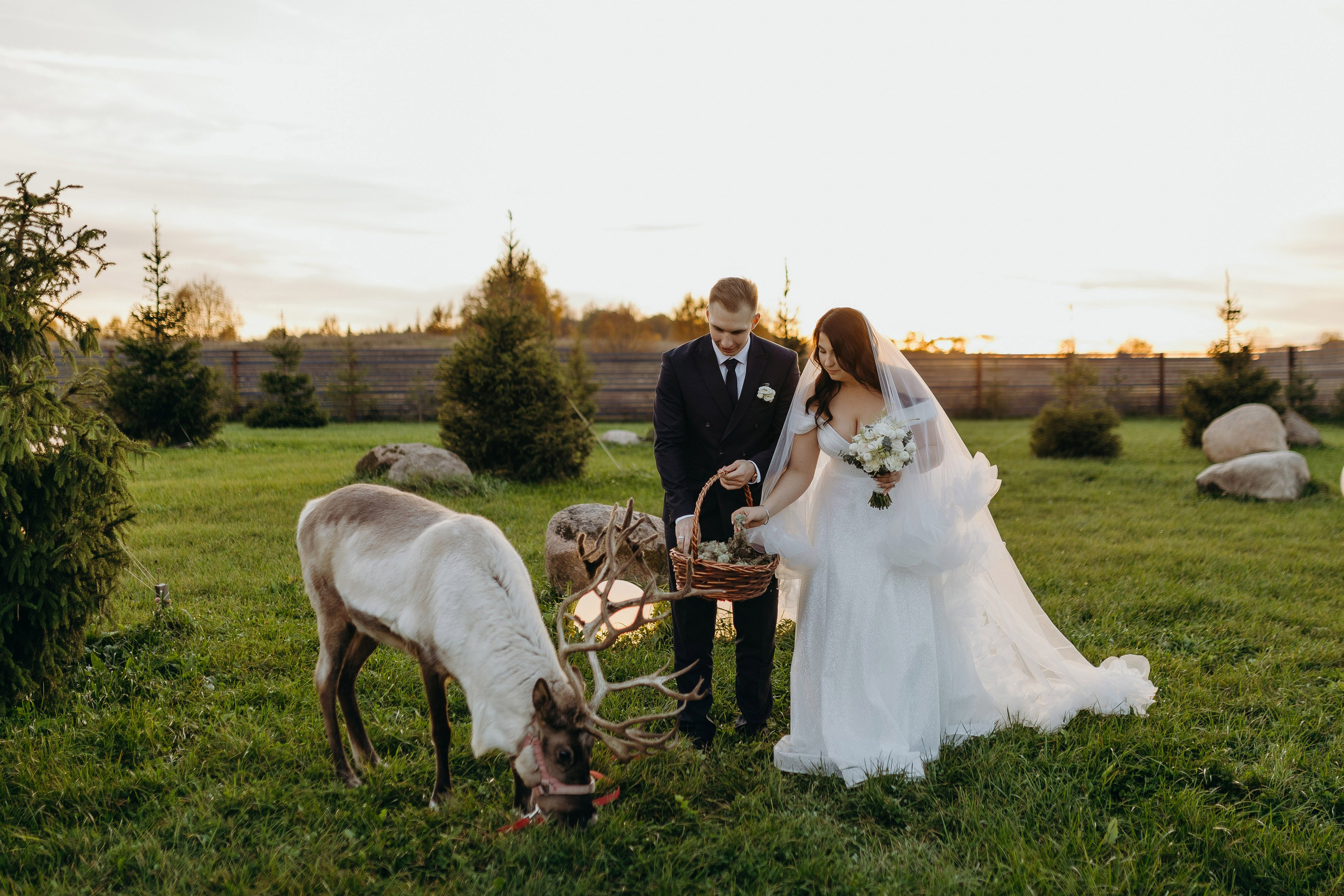 Wedding day 19.10.24. Свадебный фотограф в Санкт-Петербурге