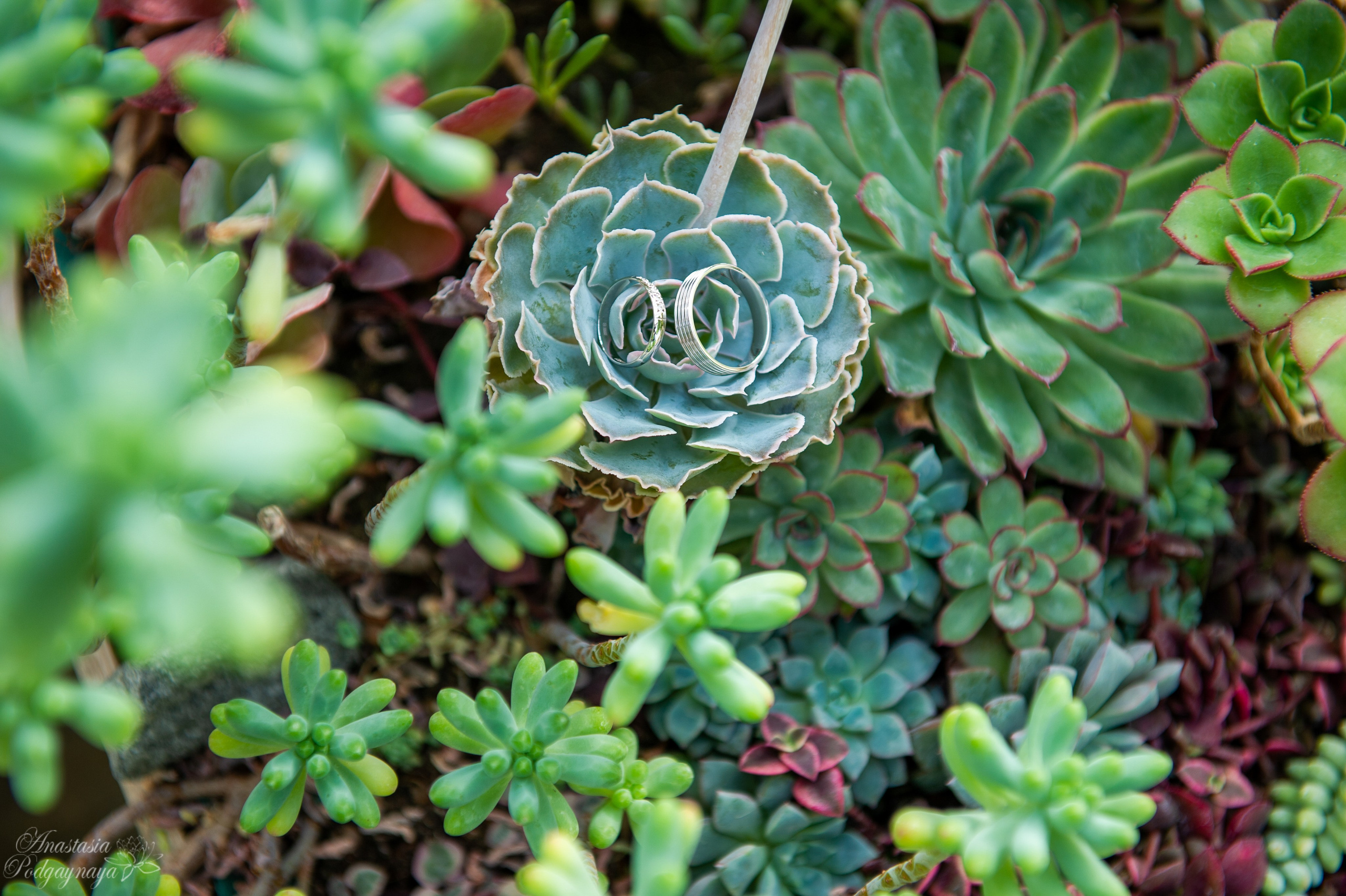 Саша и Арина. Семейный и женский фотограф, контент фотосессия в Екатеринбурге