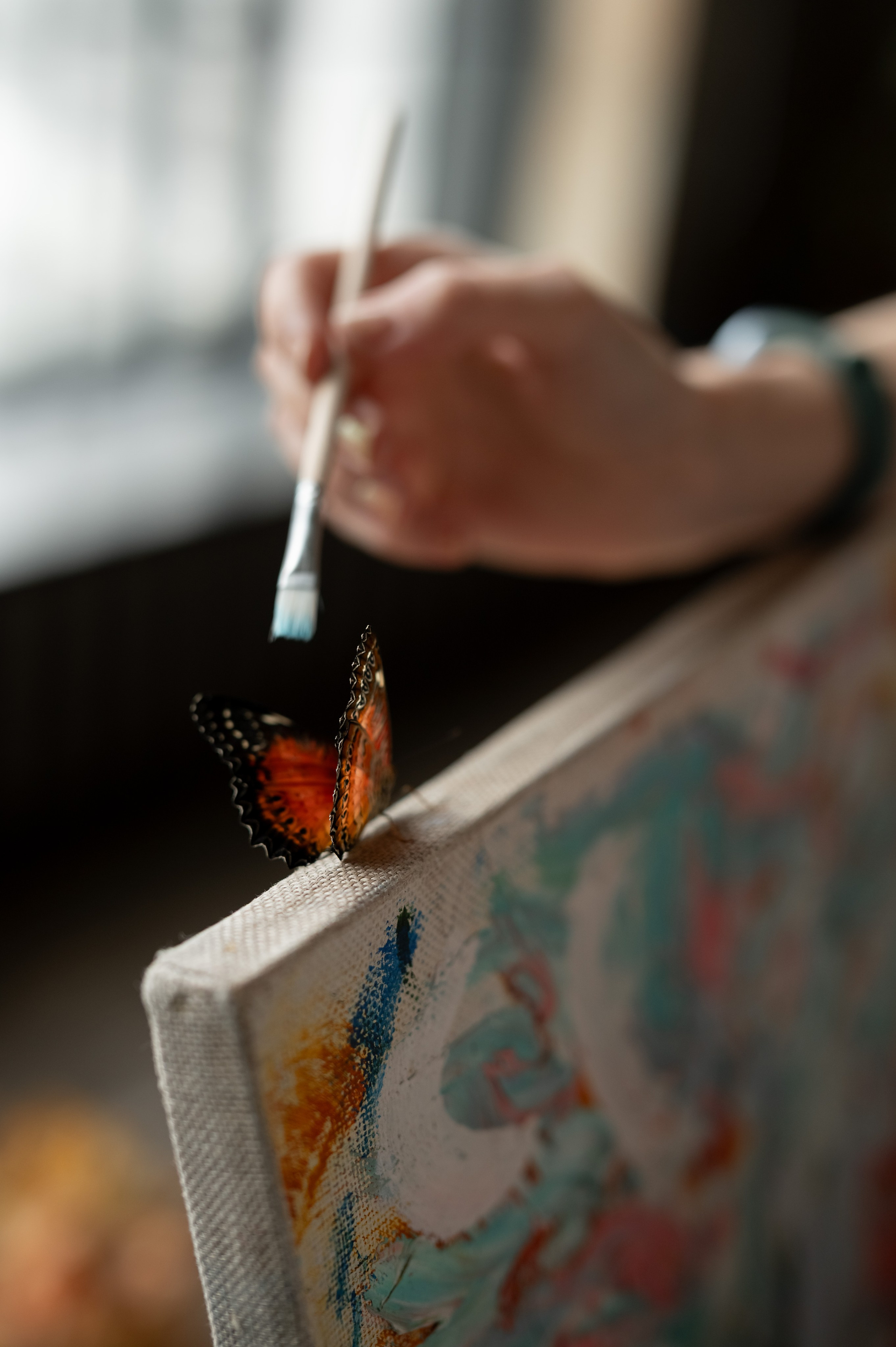 Фотосессия с бабочками. Каминская Екатерина. Семейный и детский фотограф в Москве