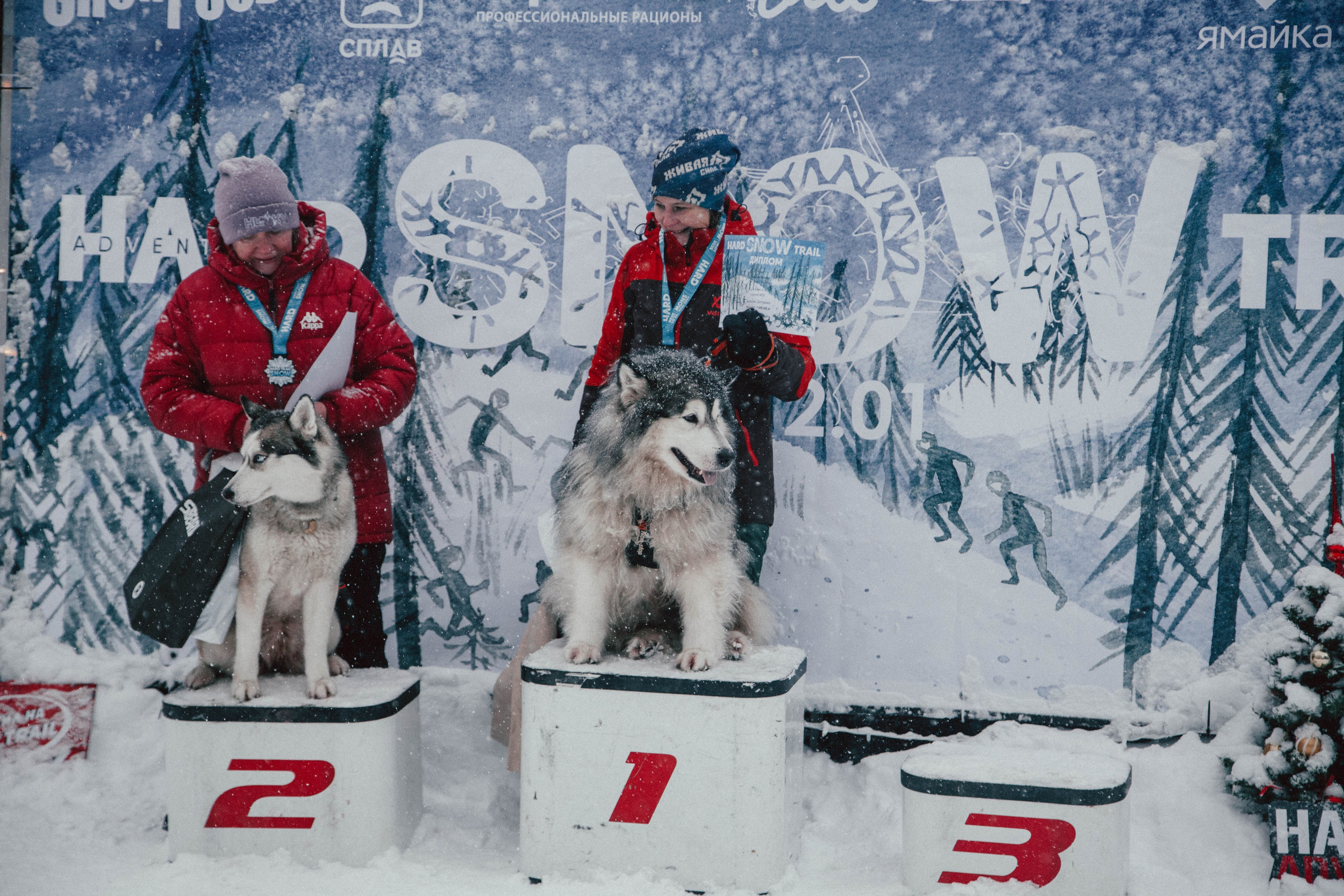 HARD TRAIL в Суоранде. Репортажный фотограф во Всеволожске и Санкт-Петербурге Владимир Капустин