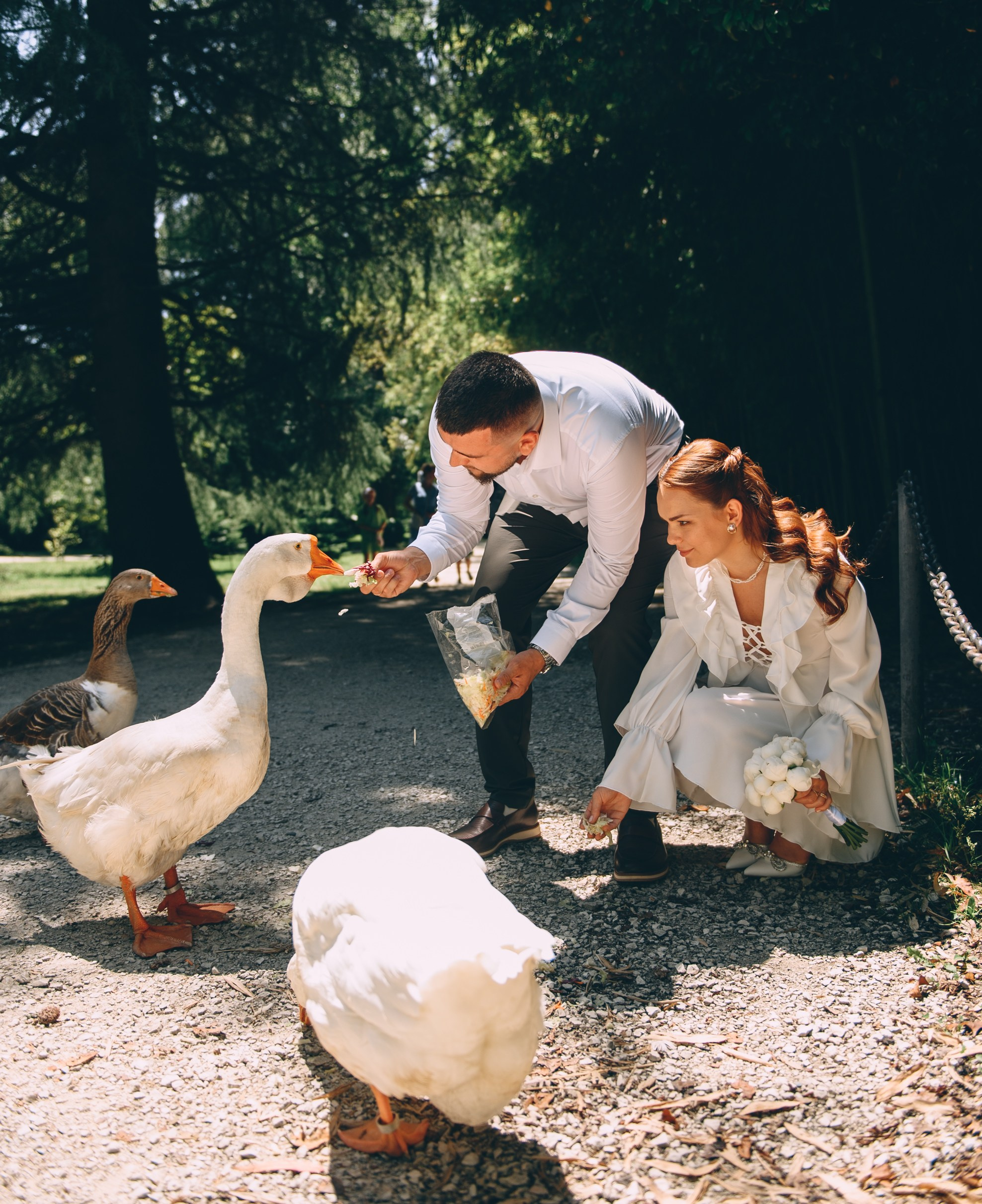 Южные Культуры, Сириус. Свадебный и семейный фотограф София Невская