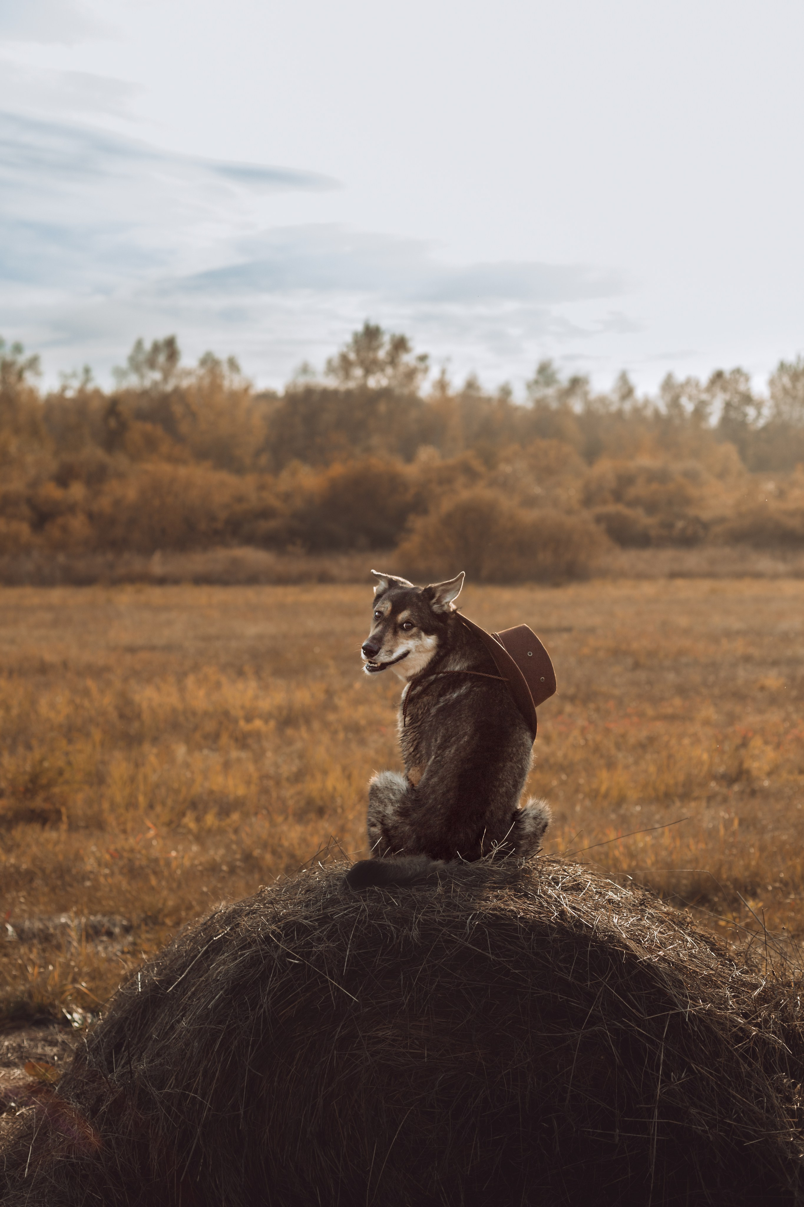 Кантри Дюк. Фотограф-анималист Татьяна Степанова