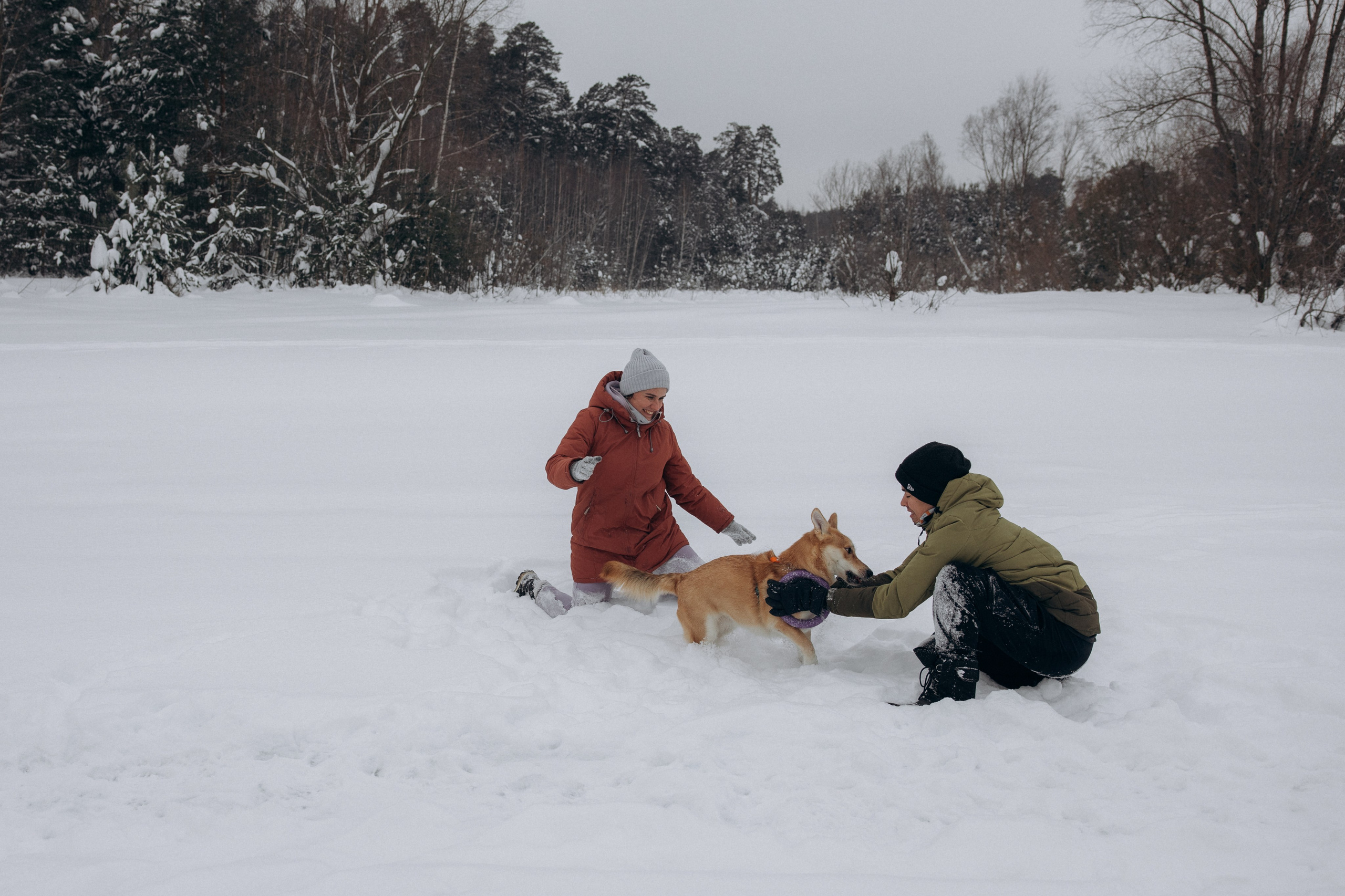 Прогулка на озере зимой. Фотограф анималист в Казани Алина Сулейманова. Фотограф животных