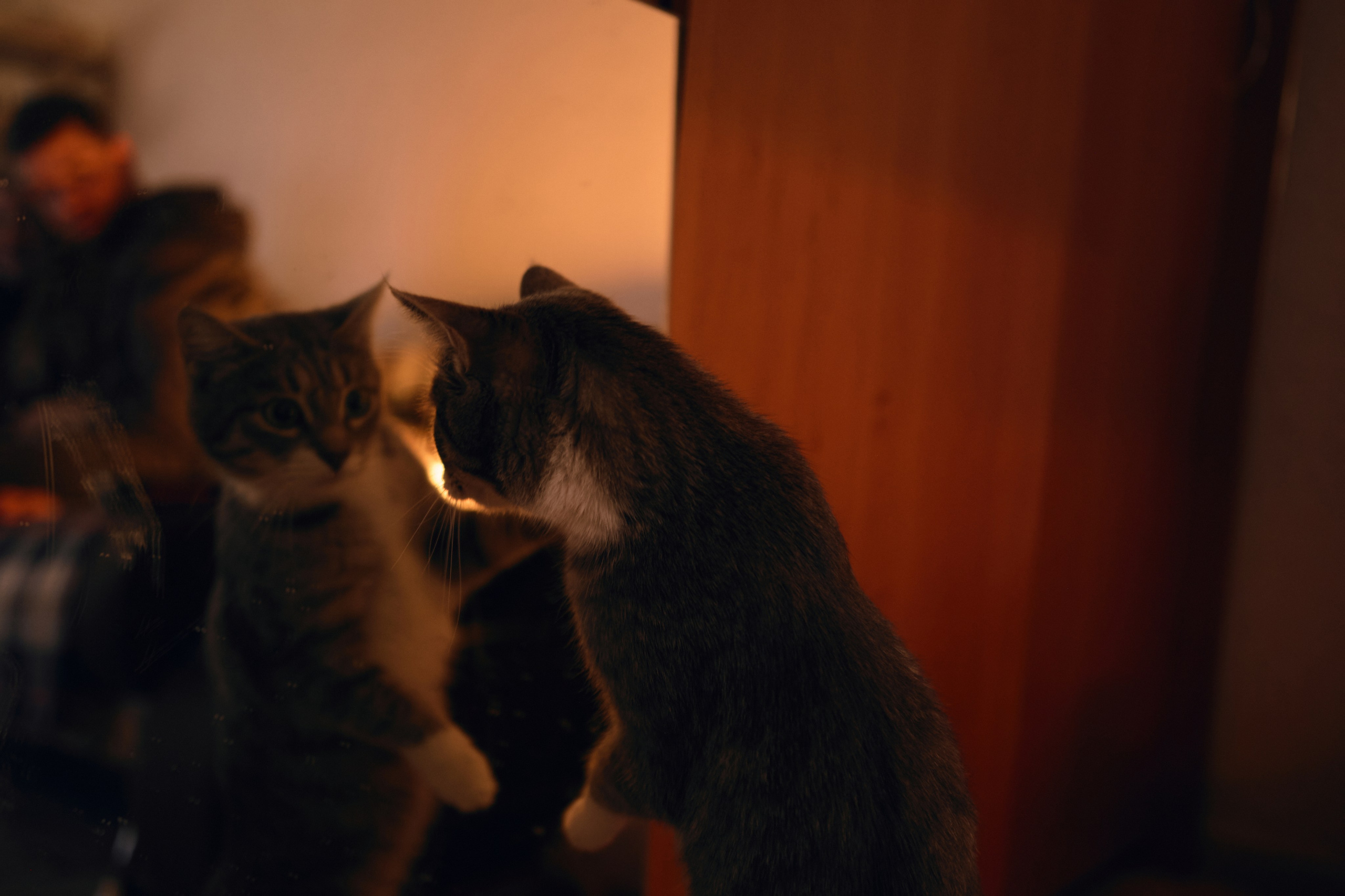 Стас и Александра. Фотограф Сухой лог Екатеринбург