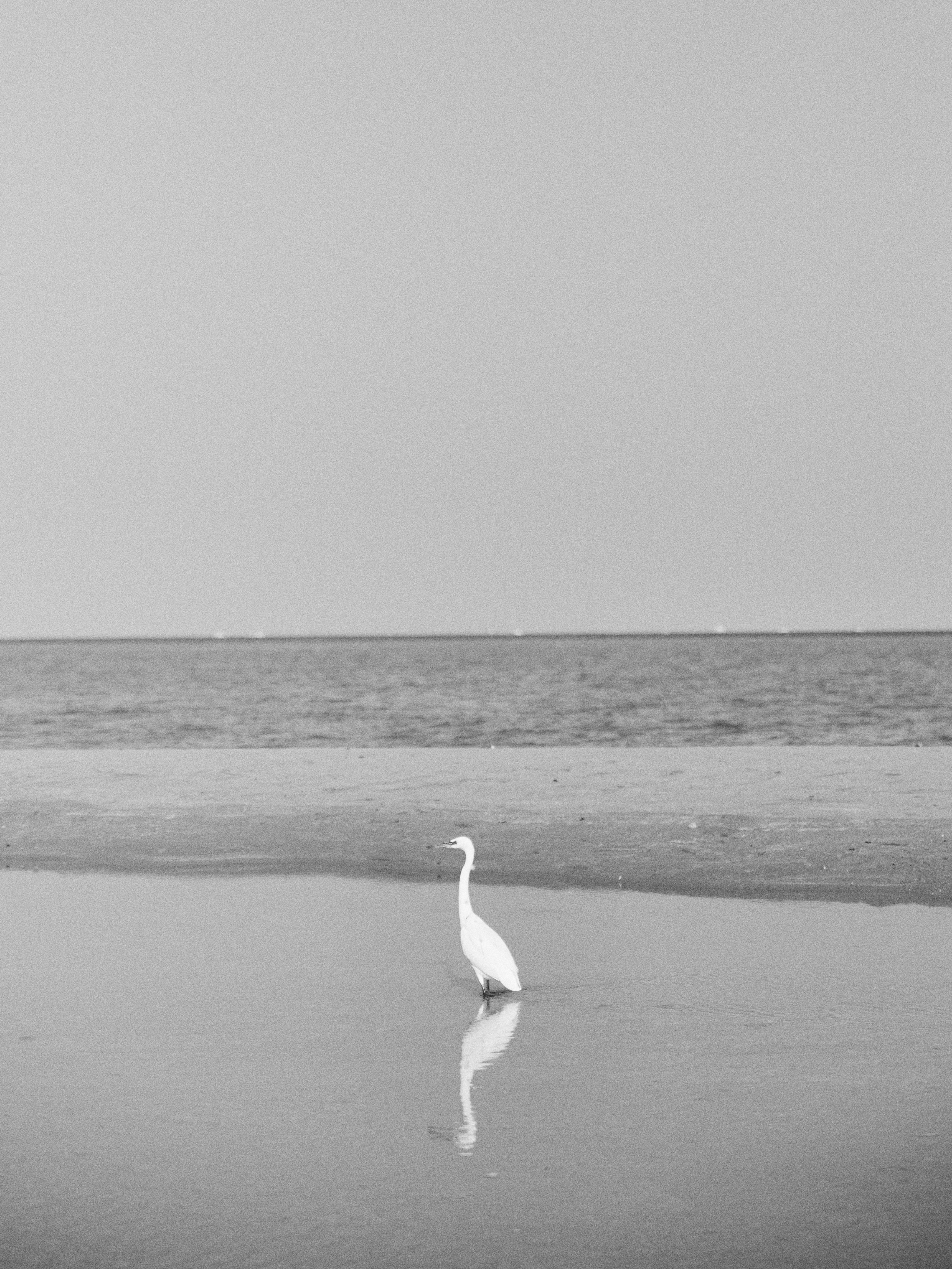 B&W. Jorgis — фотограф в Хургаде / обучение фотографии