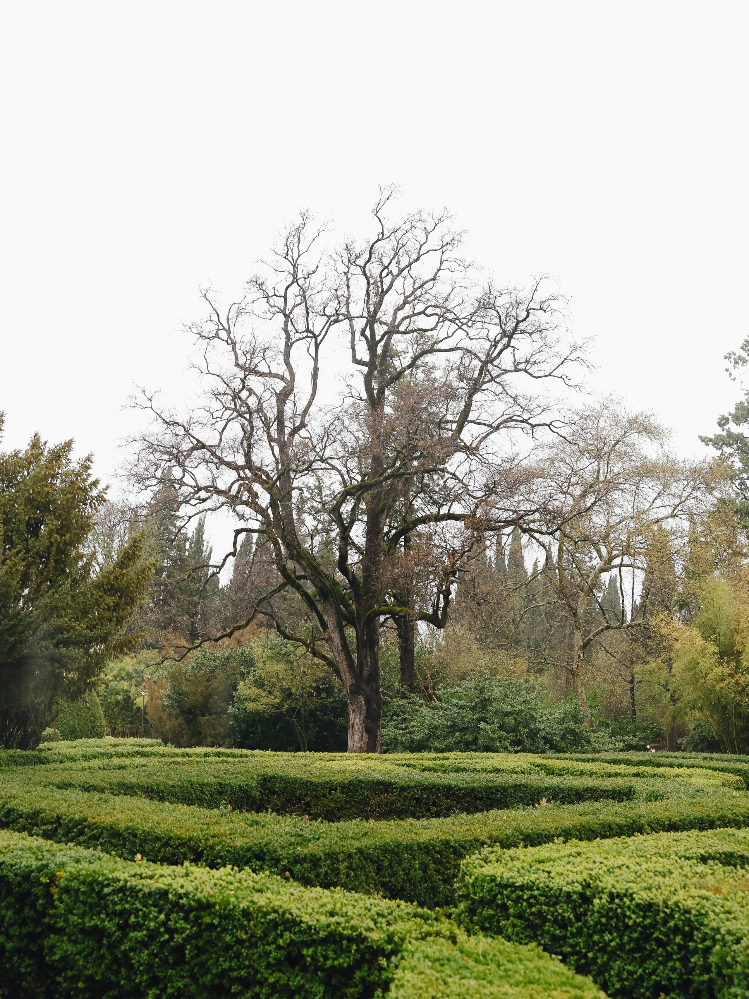 Яна и Максим. Свадебный фотограф Курск Максим Ноздрачев