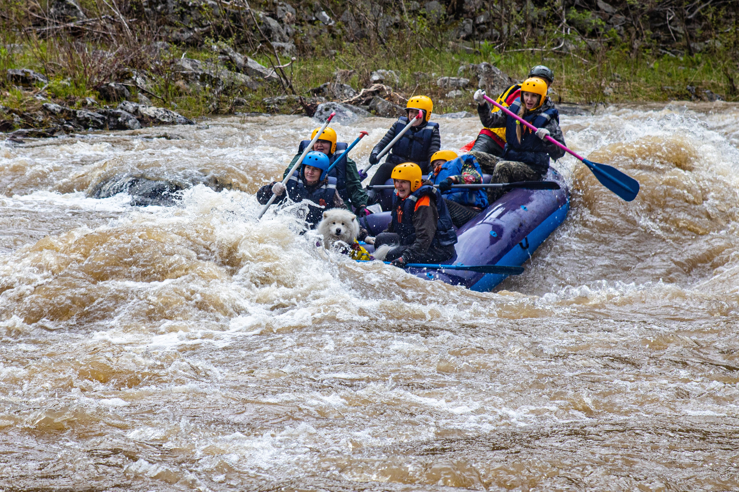 Фотосопровождение. Фотограф во Владивостоке Осипчук Дмитрий