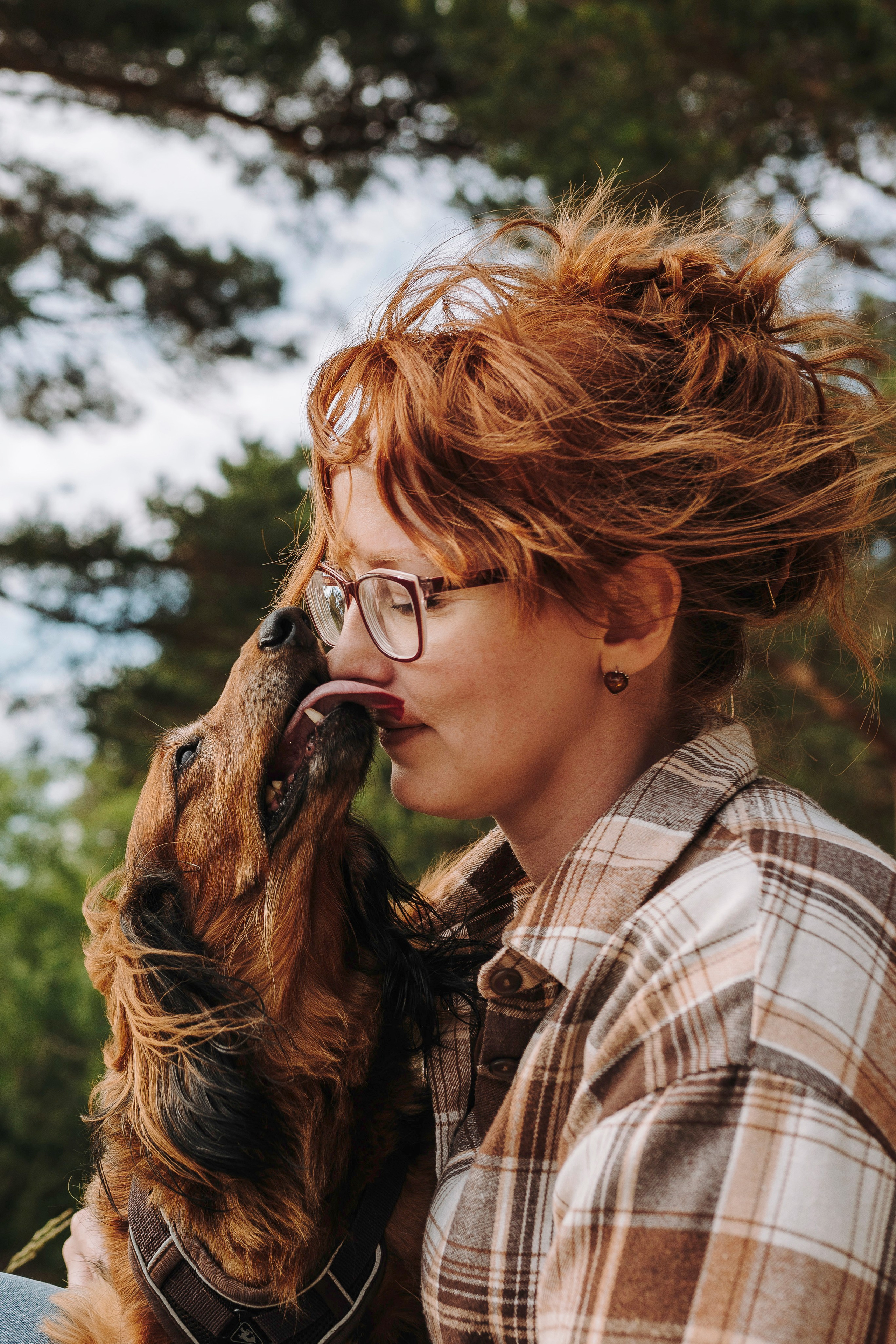 Фотосессия с длиношерстной таксой на пляжн. Фотограф анималист в Спб недорого Олеся Майорова