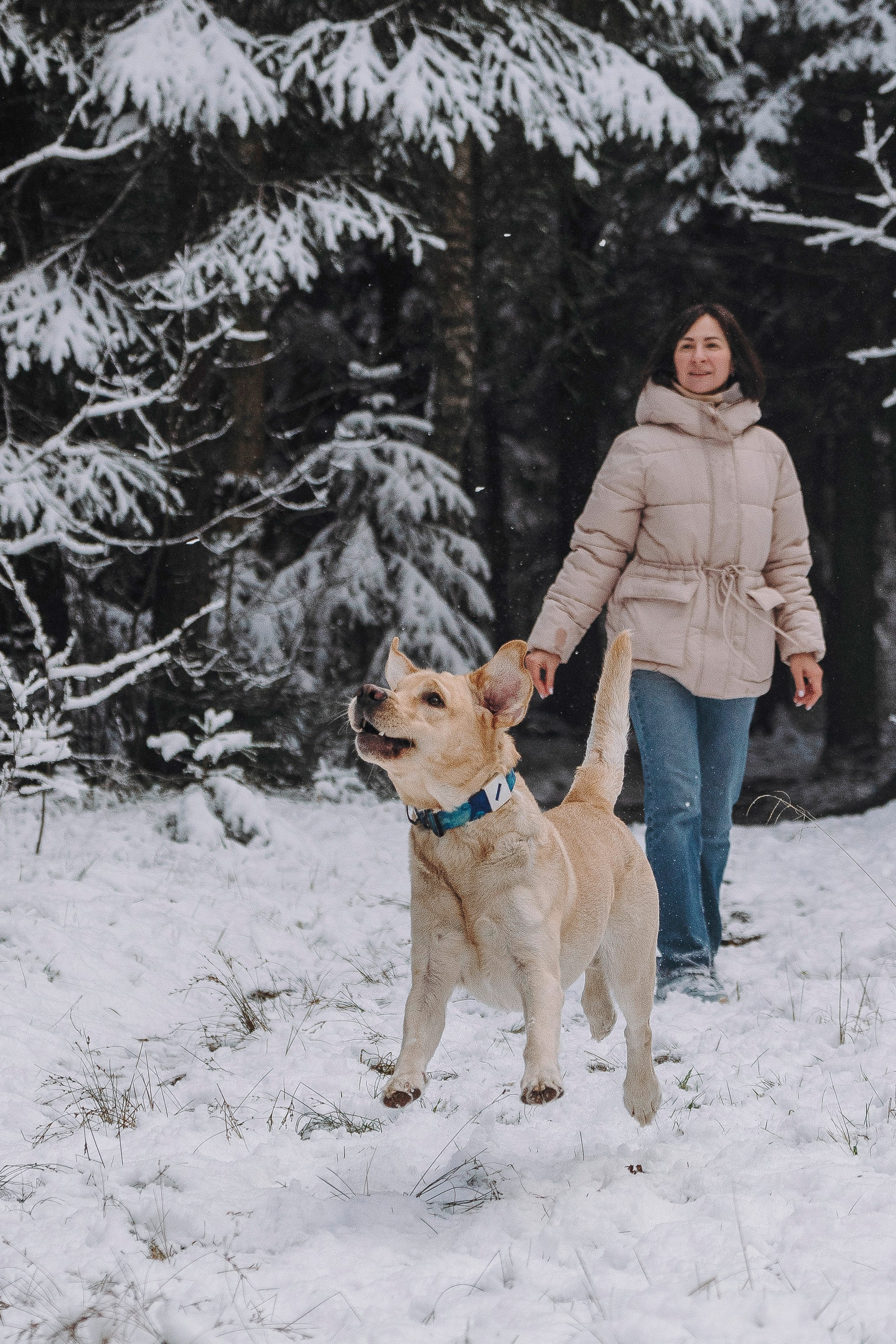 Аня и Честер. Фотограф анималист в Спб недорого Олеся Майорова