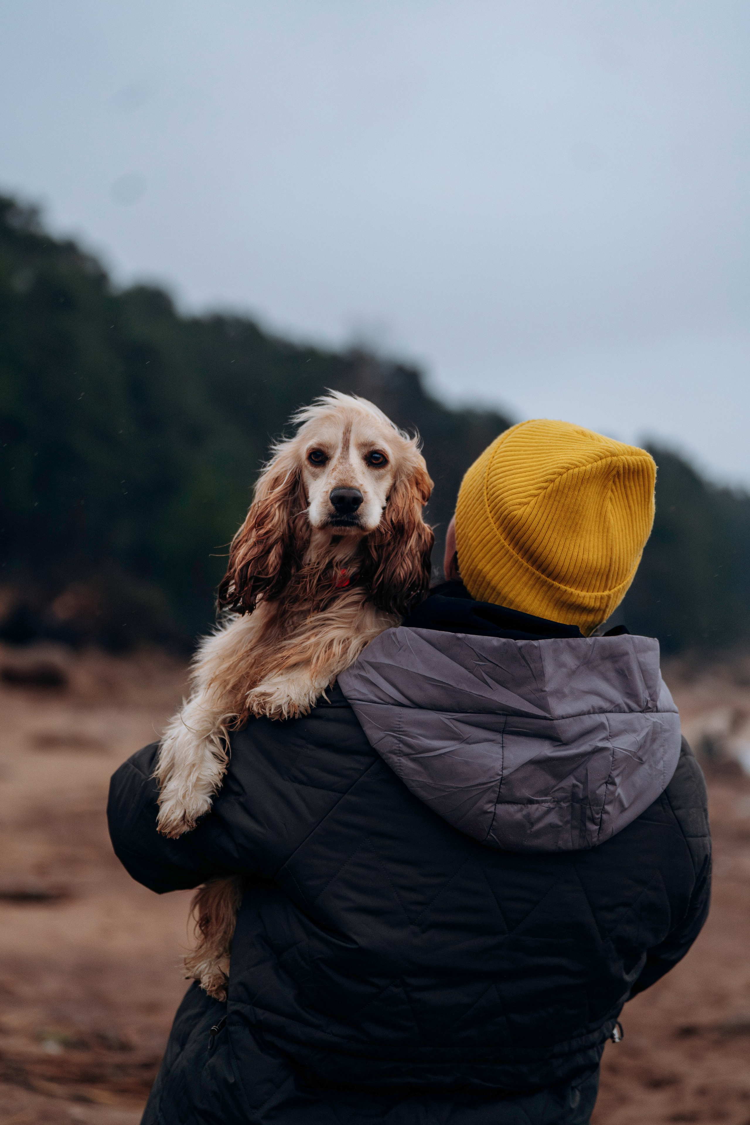 Асти, Крис и Александра. Фотограф анималист в Спб недорого Олеся Майорова