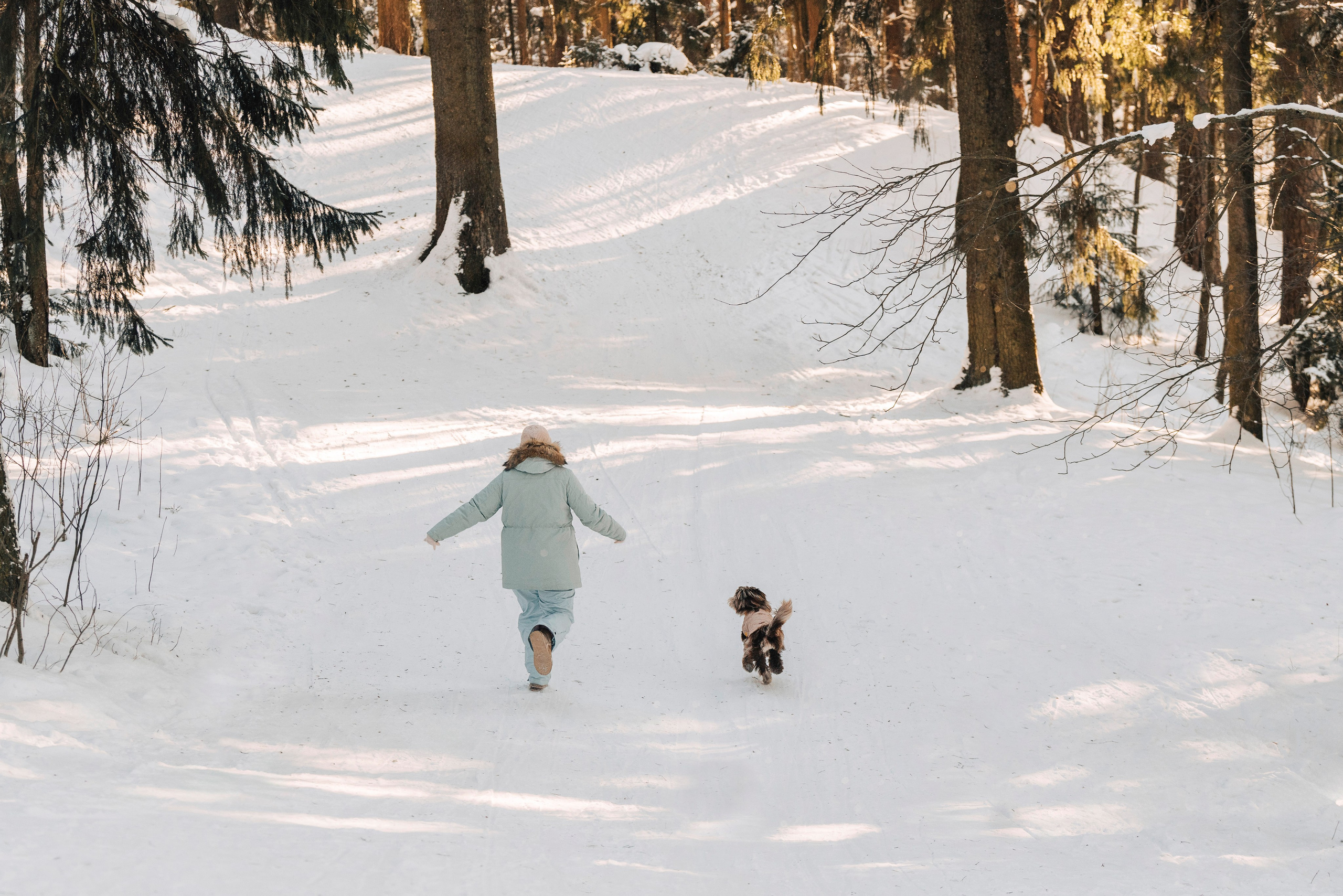 Хэйзел и её семья. Фотограф анималист в Спб недорого Олеся Майорова