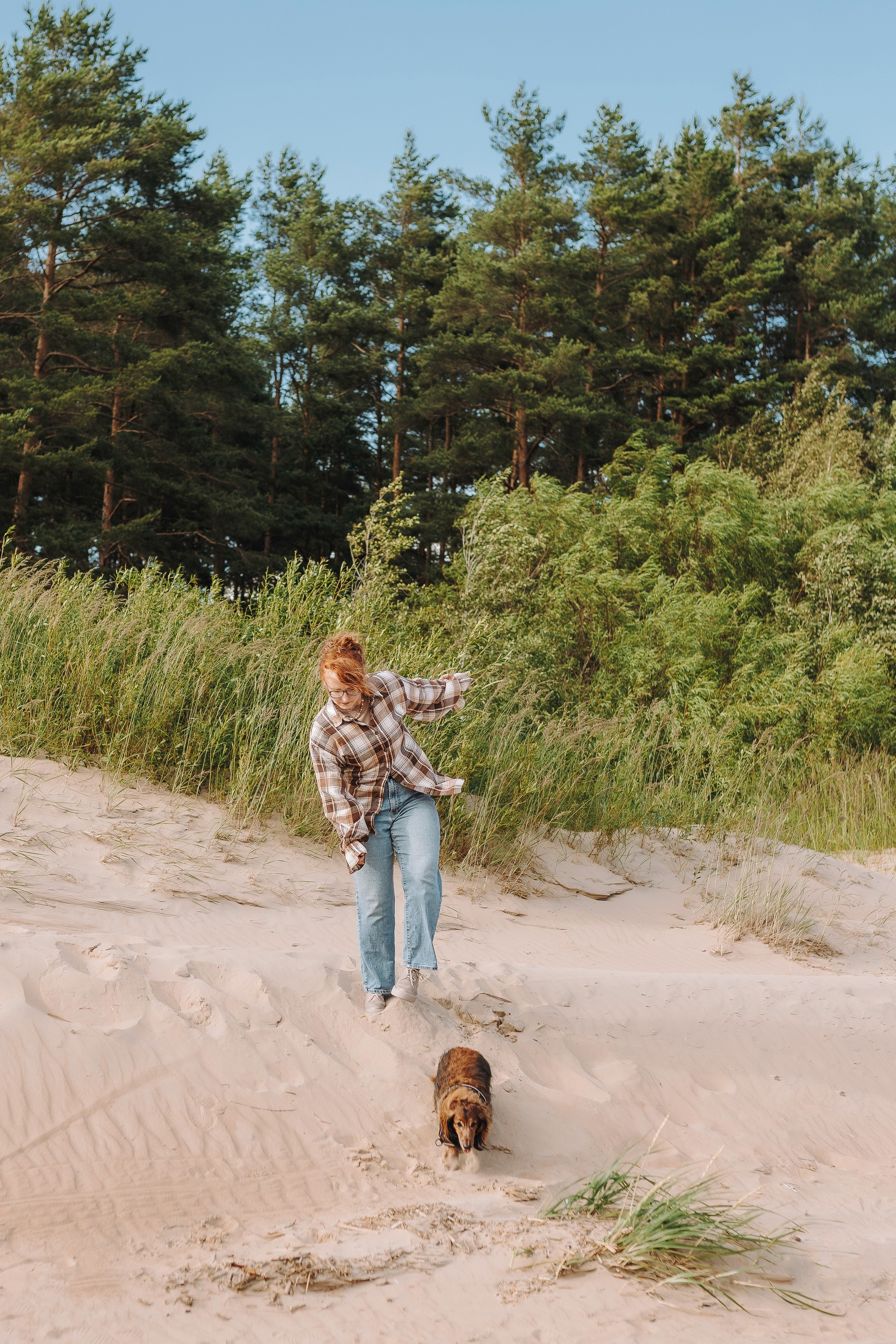 Фотосессия с длиношерстной таксой на пляжн. Фотограф анималист в Спб недорого Олеся Майорова