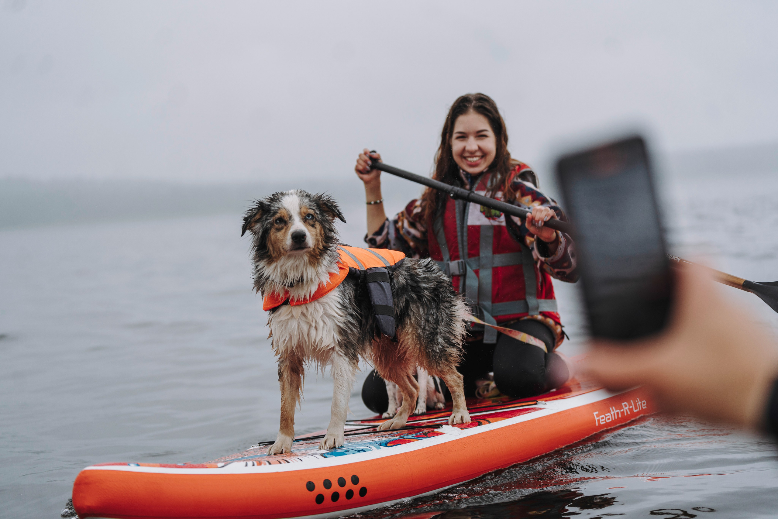 Катание на сапах с собаками. Фотограф анималист в Спб недорого Олеся Майорова