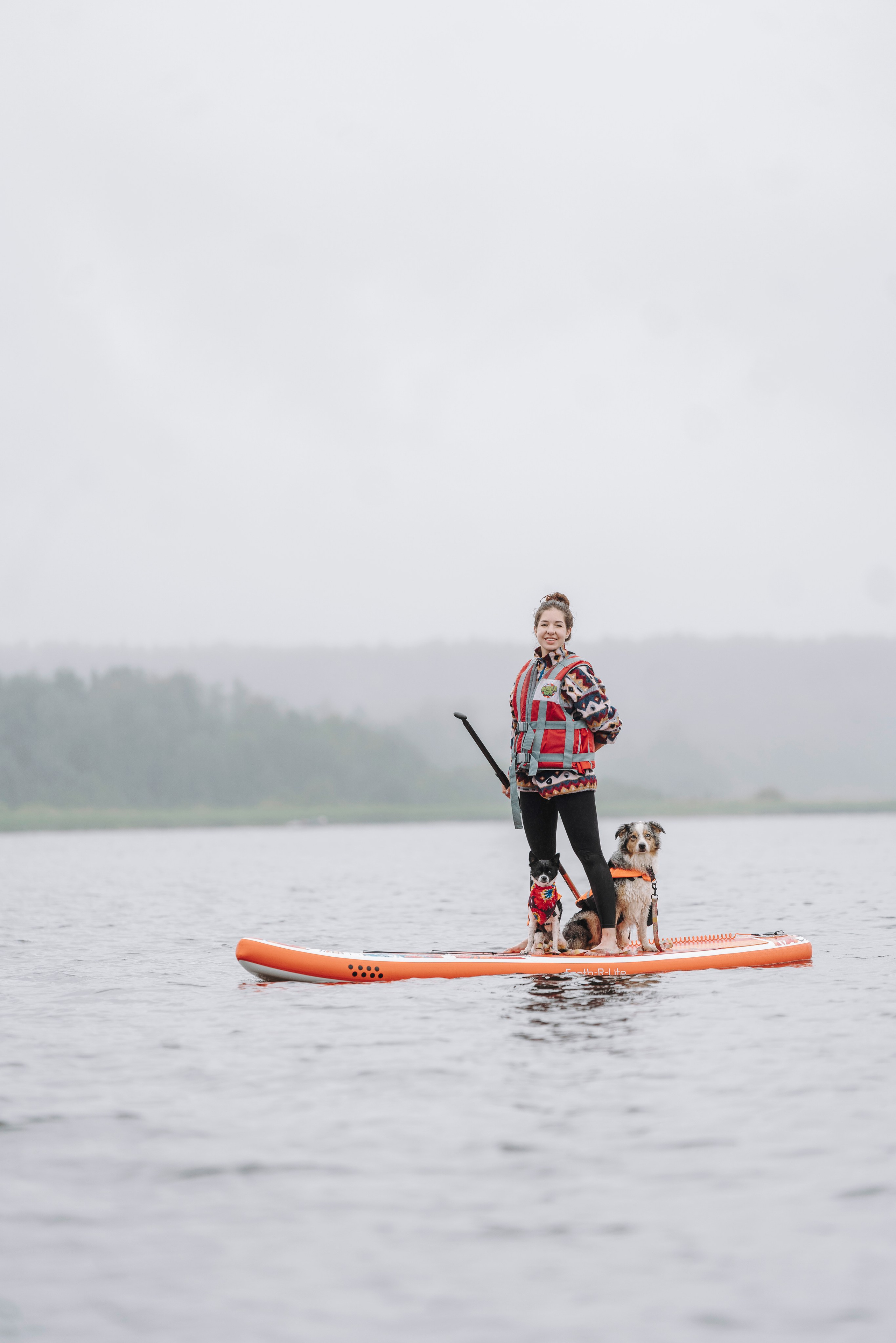 Катание на сапах с собаками. Фотограф анималист в Спб недорого Олеся Майорова