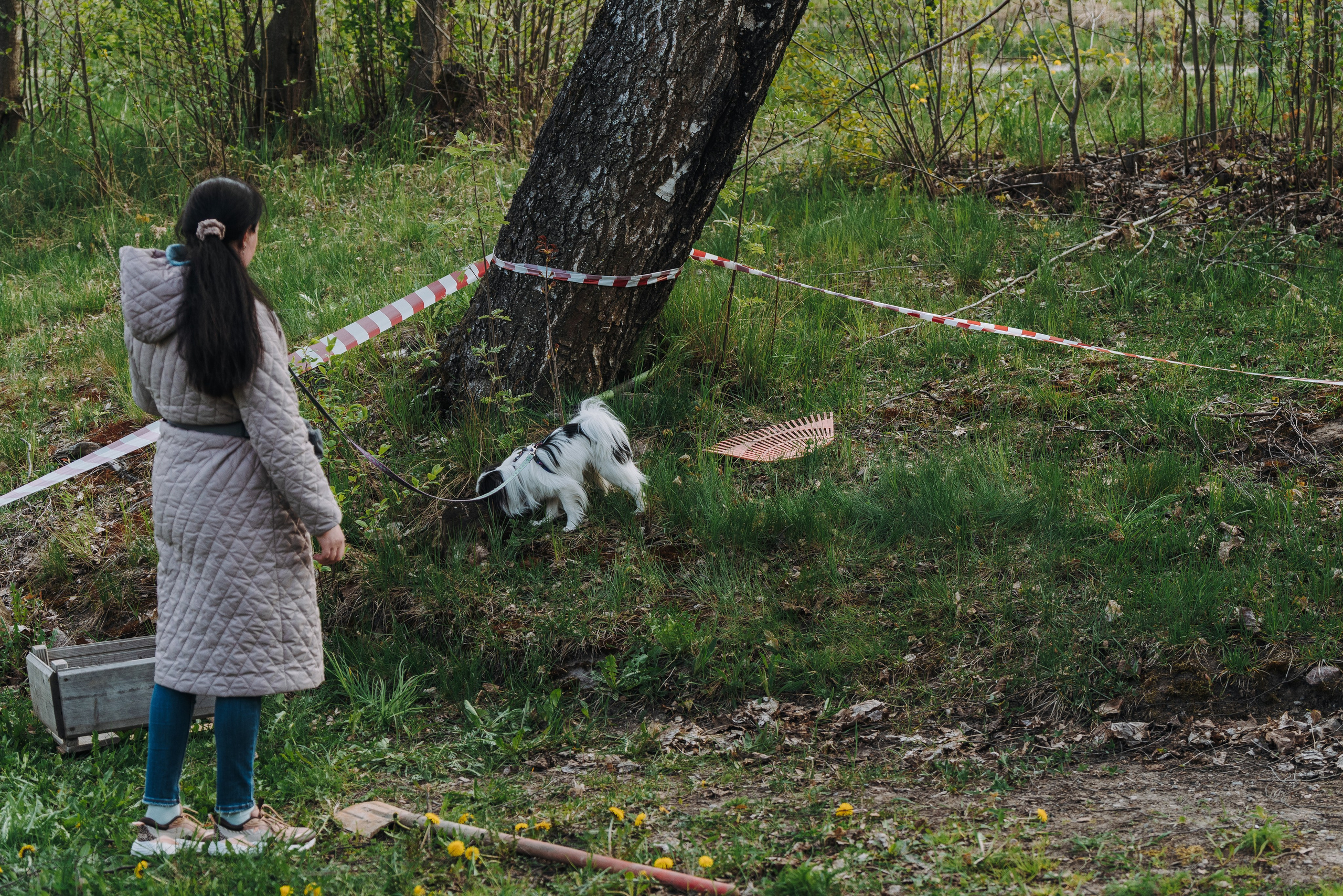 Соревнования по ноузворку в Лосево. Фотограф анималист в Спб недорого Олеся Майорова