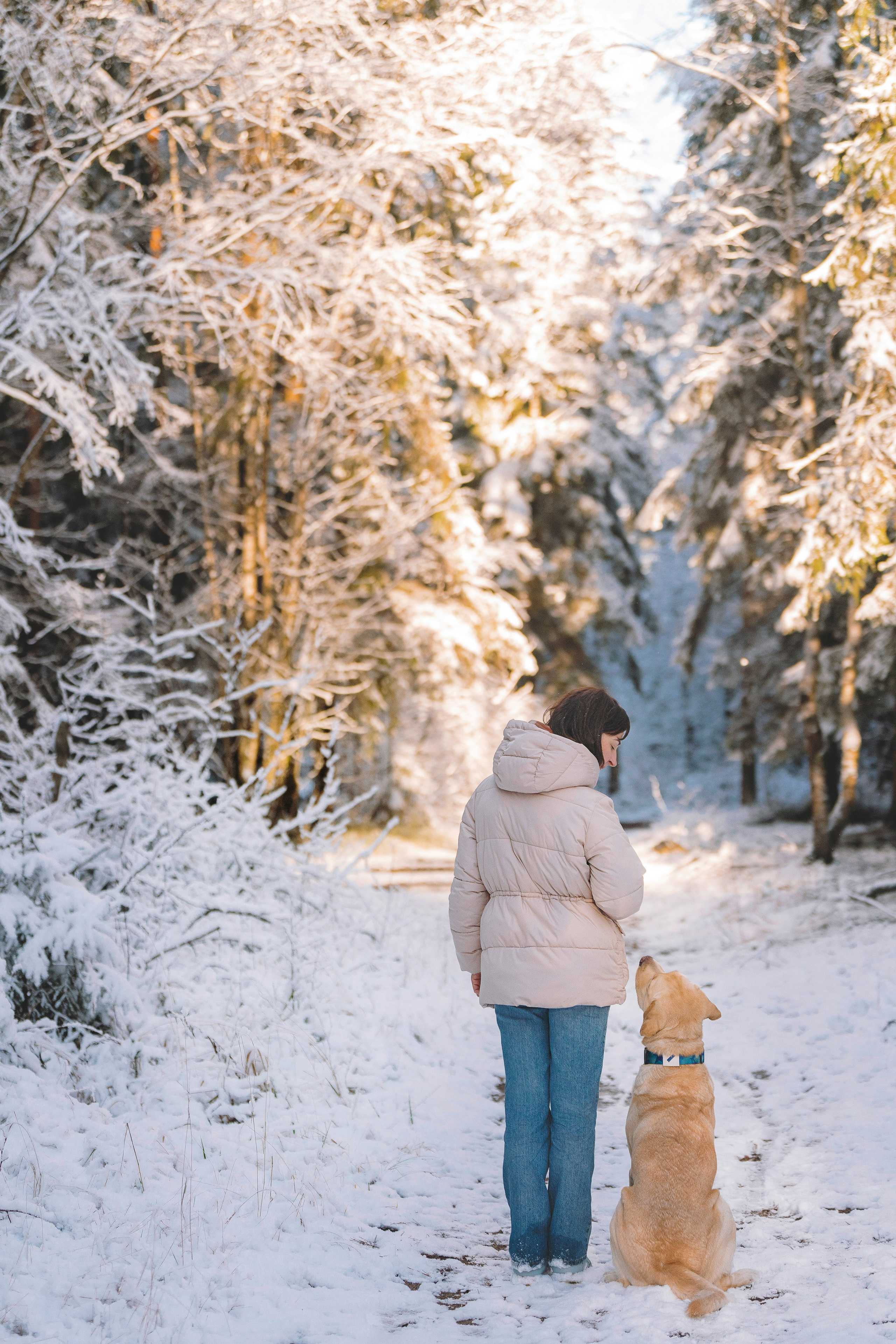 Аня и Честер. Фотограф анималист в Спб недорого Олеся Майорова