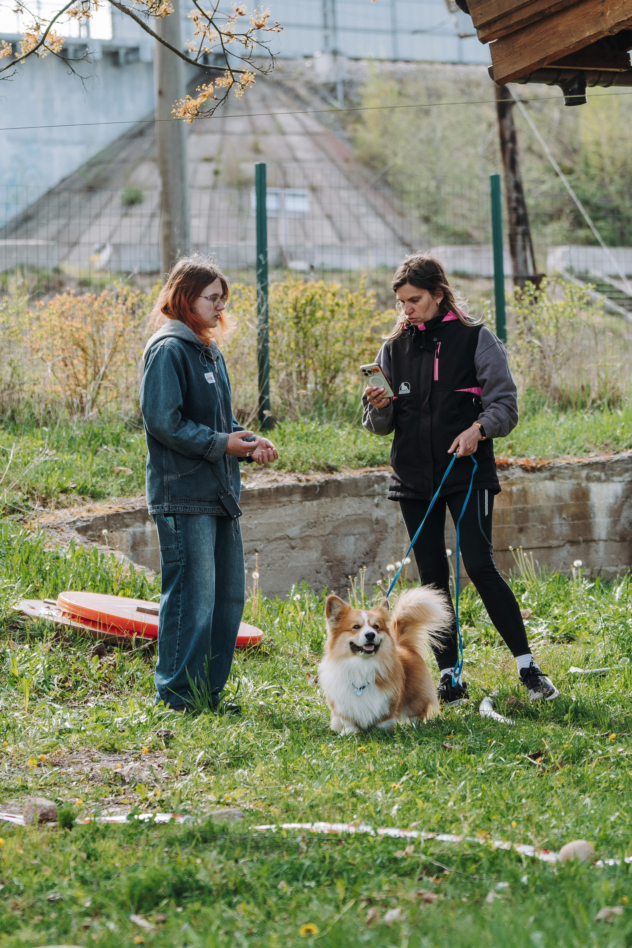 Соревнования по ноузворку в Лосево. Фотограф анималист в Спб недорого Олеся Майорова