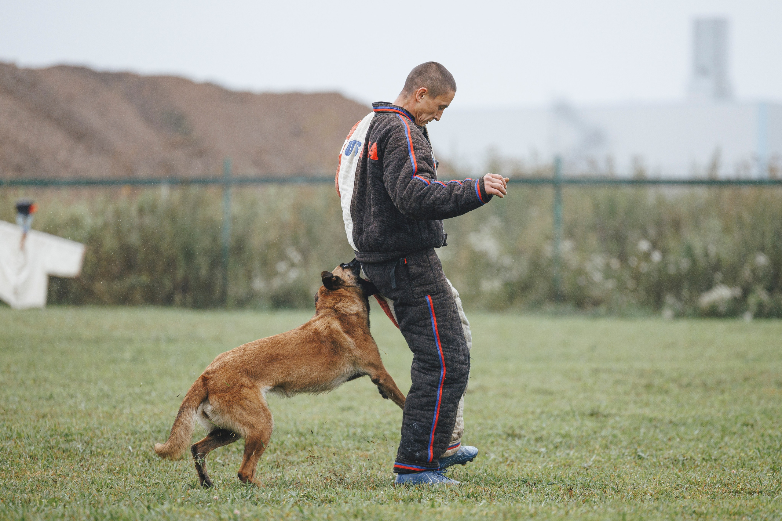 08.08.25-10.08.25 ЧР по мондьорингу г. Вологда. Фотограф-анималист Анна Маринич