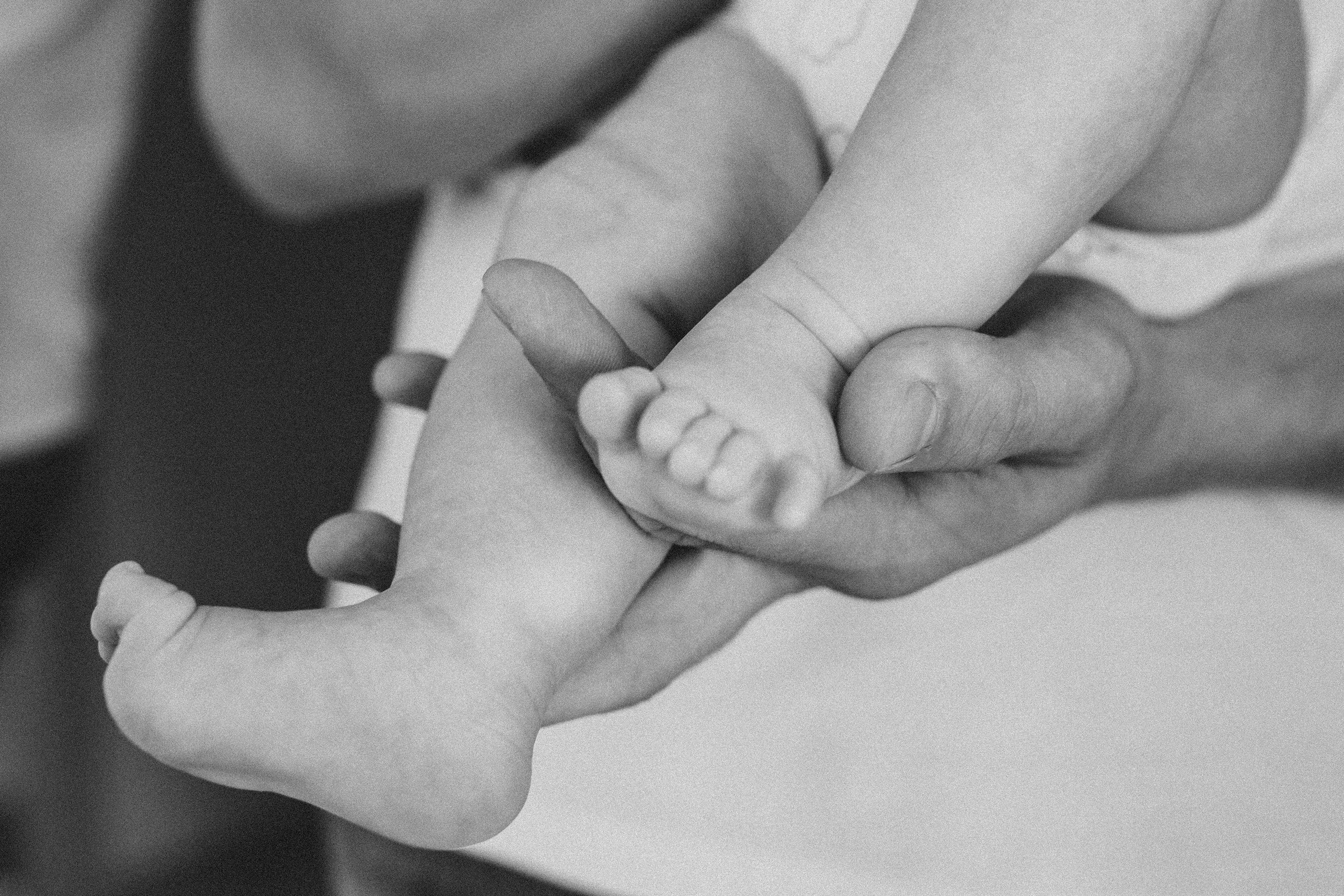 Ариша, Яна, Артем. Семейный фотограф Томск