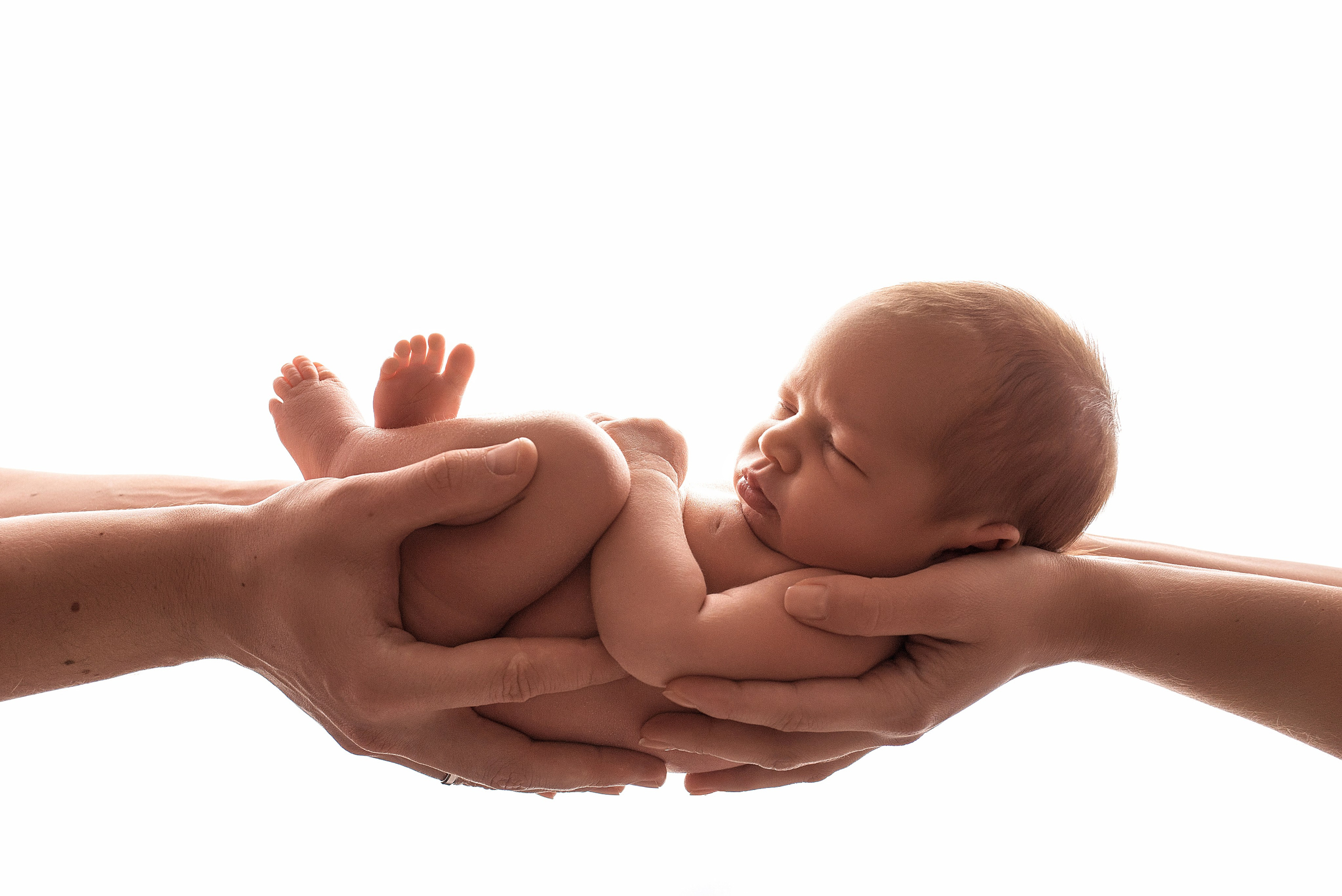 Новорождённые девочки. Детский фотограф новорождённых в Минске Боровик Екатерина